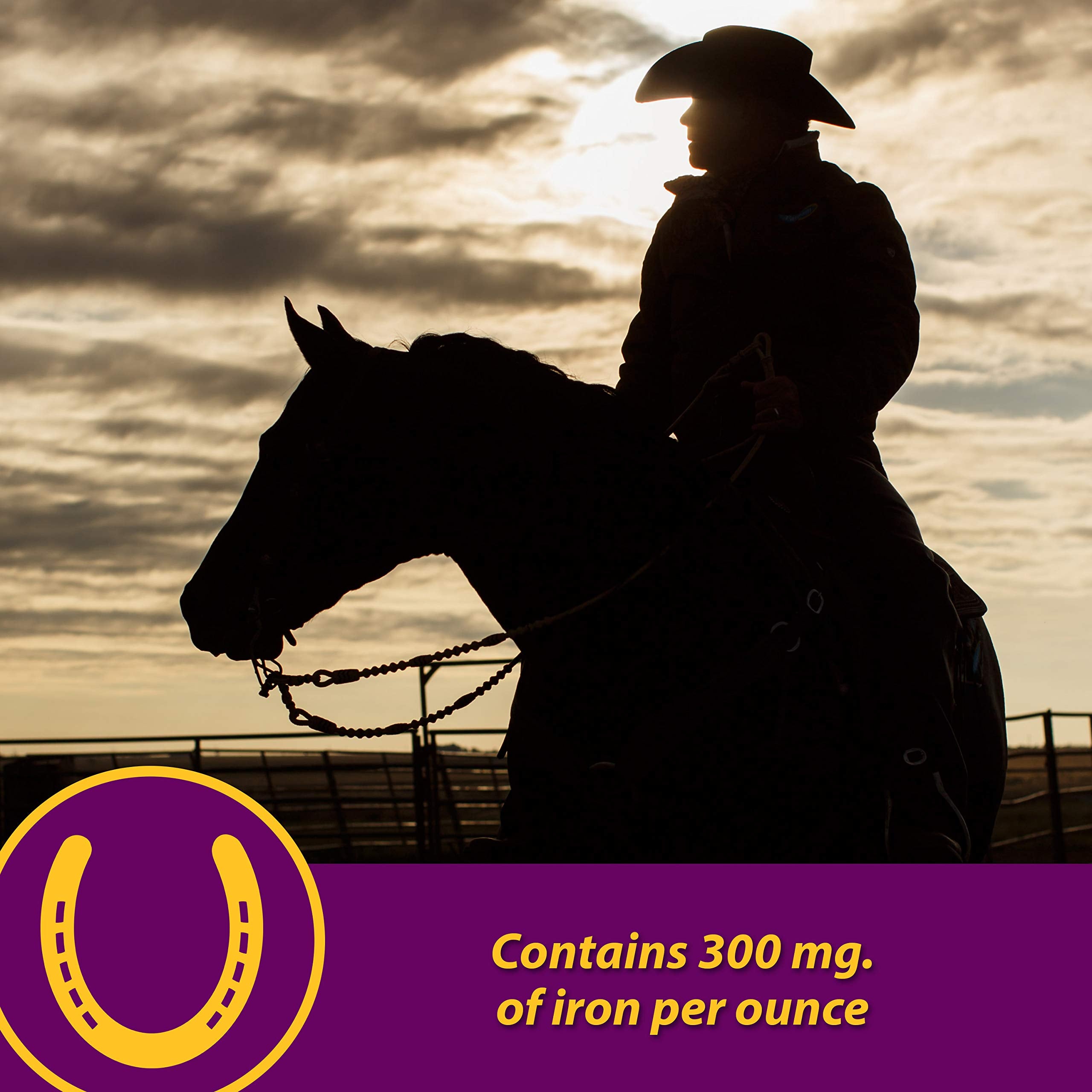 Horse Health Red Cell, Liquid Vitamin-Iron-Mineral Supplement for Horses, Helps Fill Important Nutritional Gaps in Horses Diet,