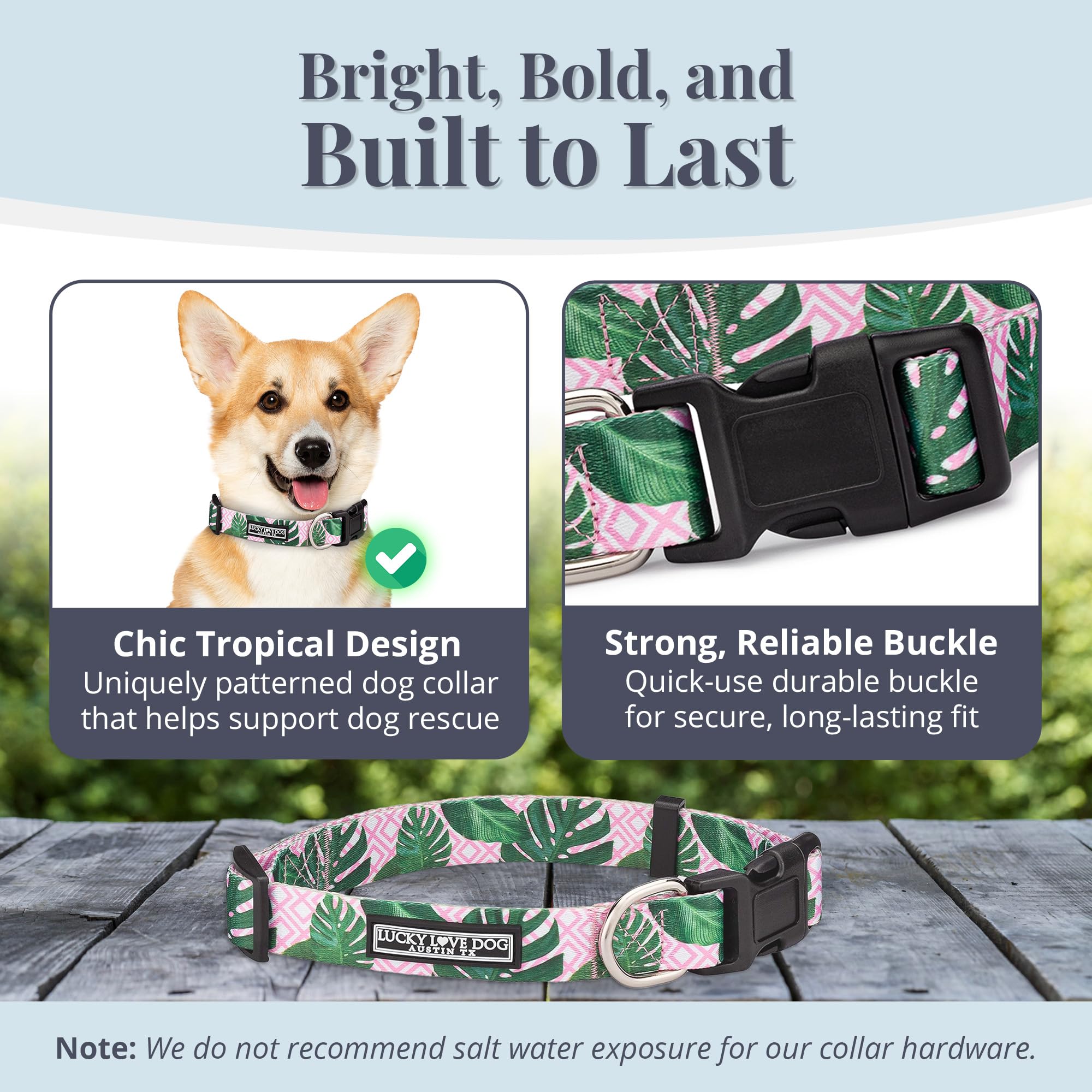 Lucky Love Dog, Tropical Dog Collar For Female Male Dogs, Comfortable & Soft, Vivid Pink Dog Collar - (Small, Laguna Collar)