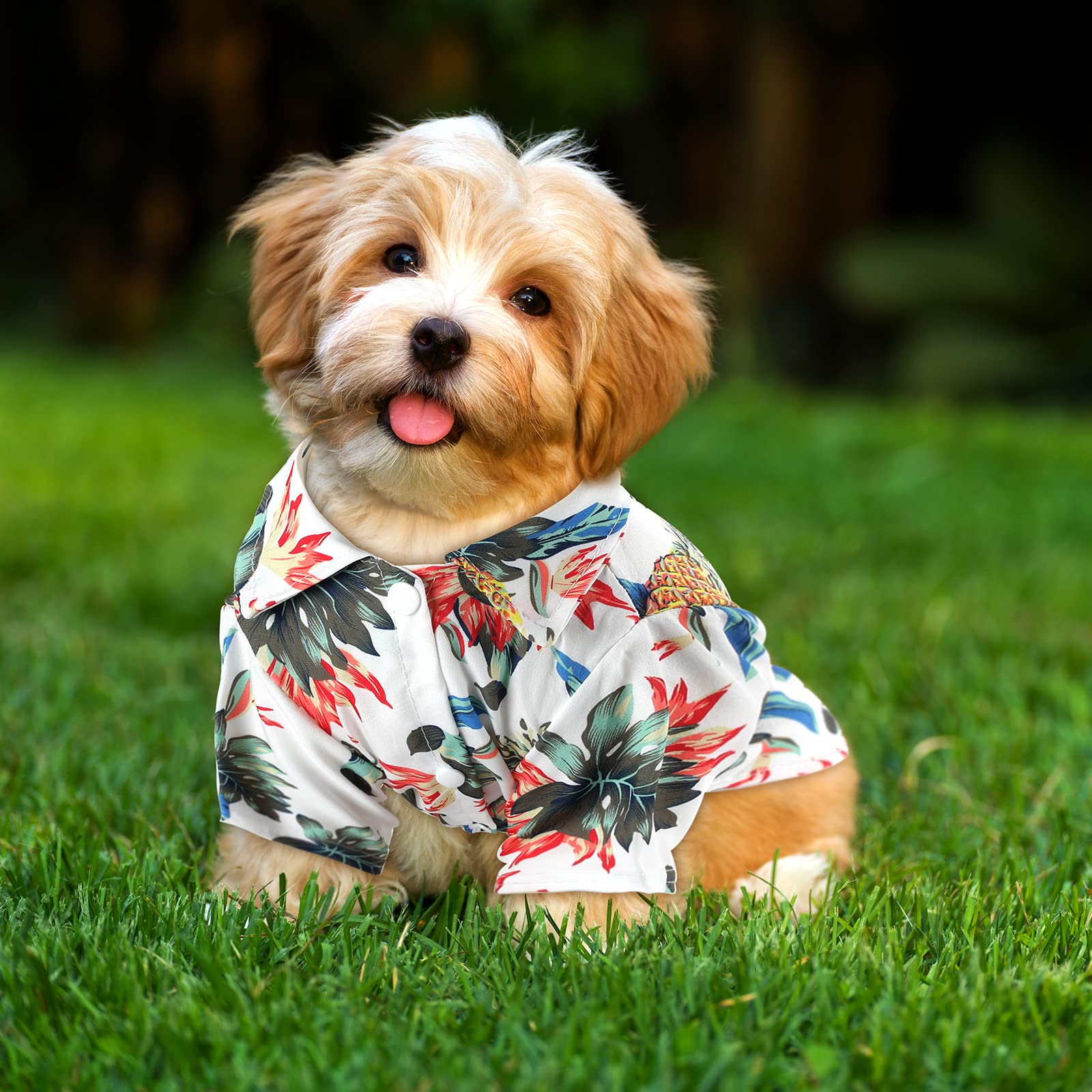 4 Pieces Summer Pet Shirts Hawaii Style Floral Dog T-Shirt Hawaiian Puppy T-Shirts Breathable Pet Cool Clothes Beach Seaside Dog Shirt Sweatshirt For Dogs Pet Puppy (Small)