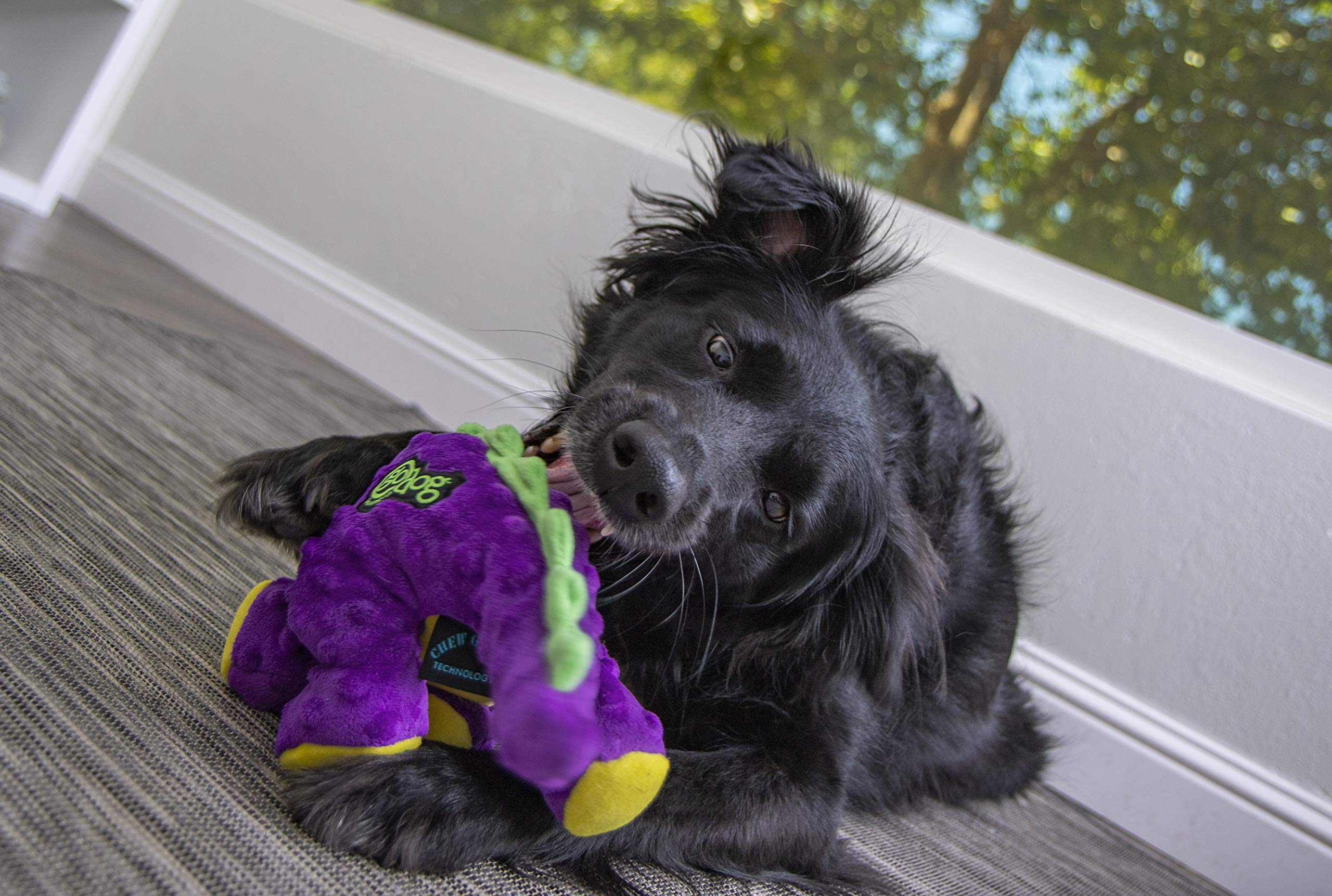 Godog Dinos Bruto Squeaky Plush Dog Toy, Chew Guard Technology - Purple, Large