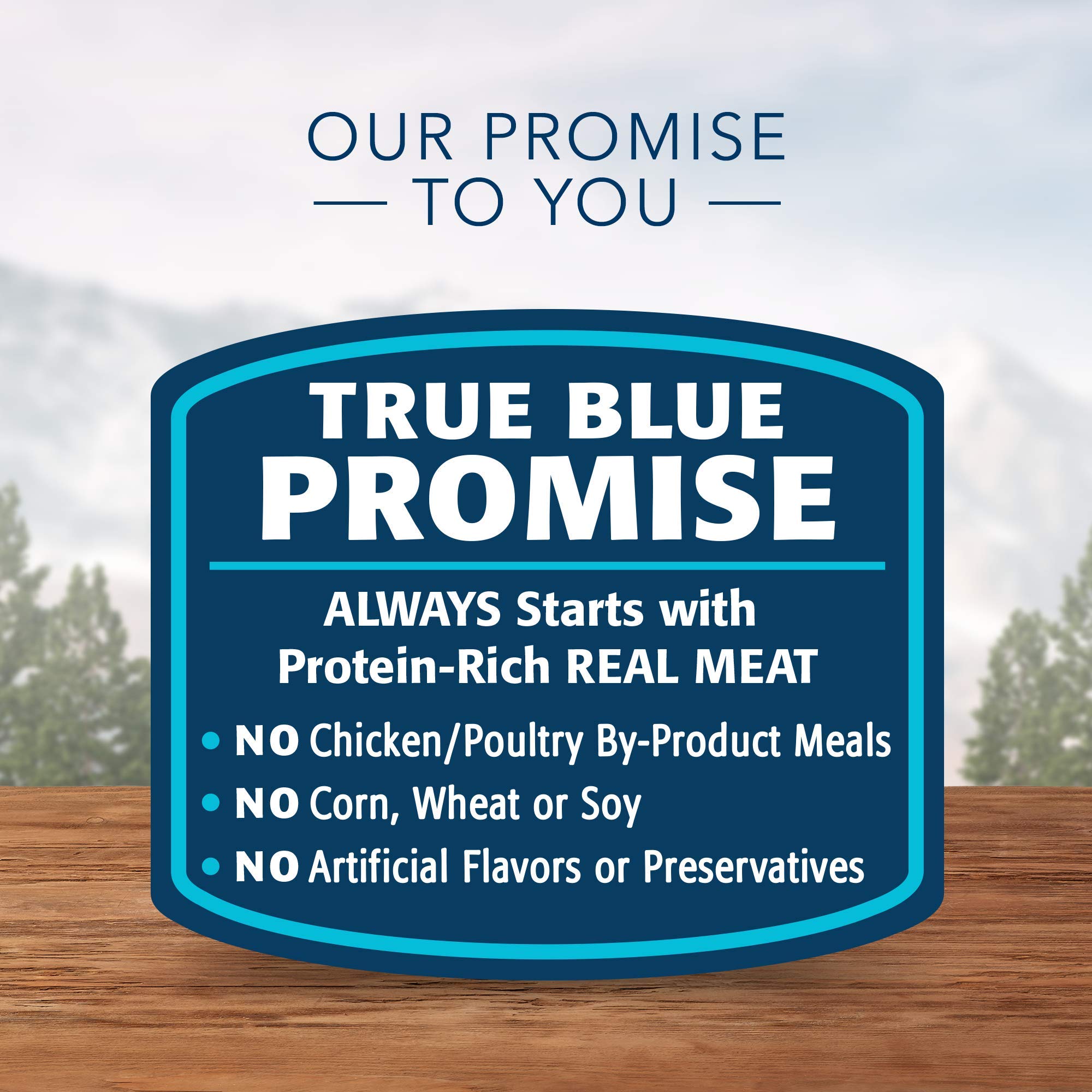 Blue Buffalo Wilderness High Protein Grain Free, Natural Adult Pate Wet Cat Food Variety Pack, Chicken, Salmon, Duck, and Turkey