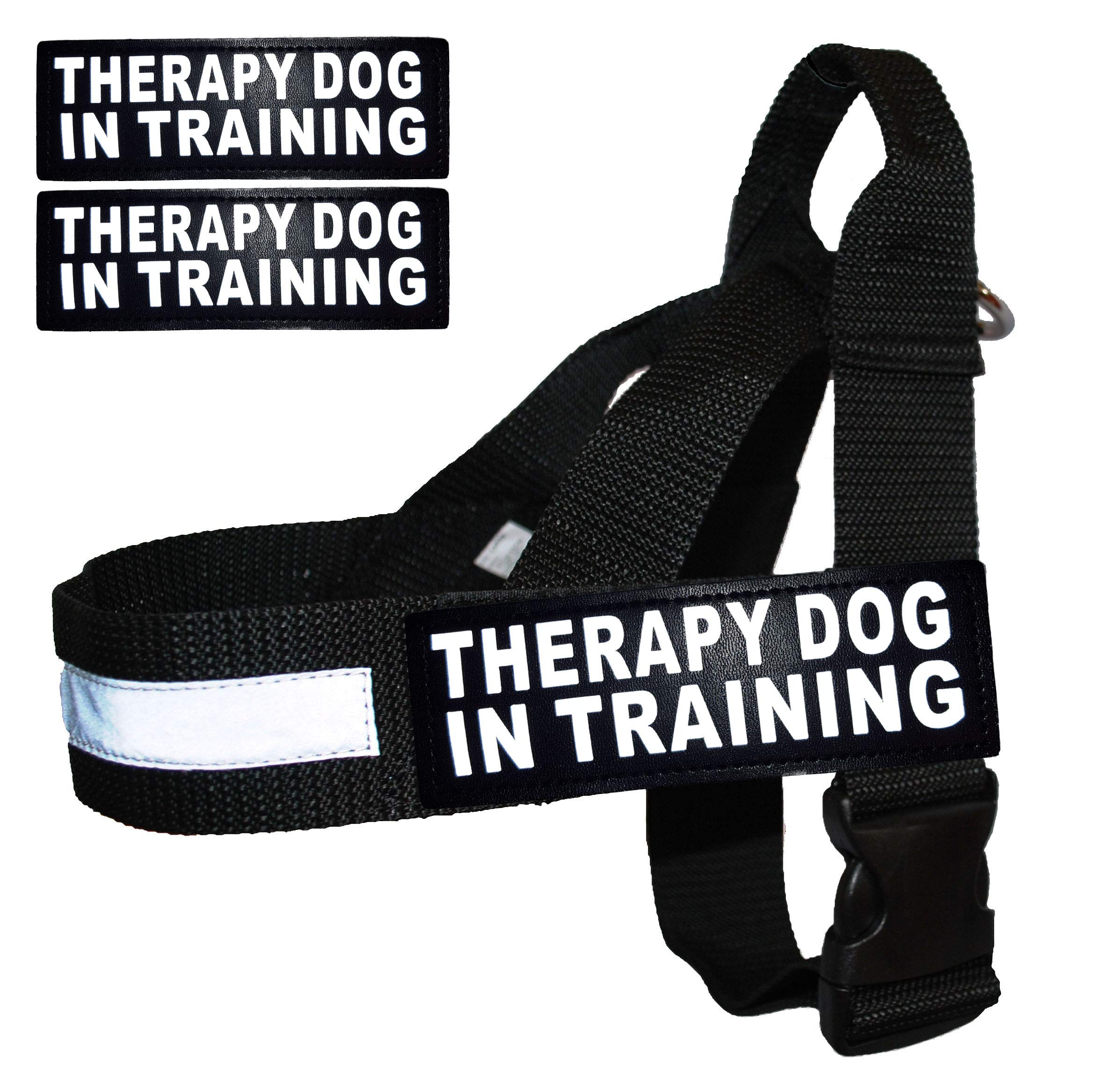 Therapy Dog In Training Nylon Harness No Pull Guide Assistance Comes With 2 Reflective Therapy Dog In Training Removable Reflect