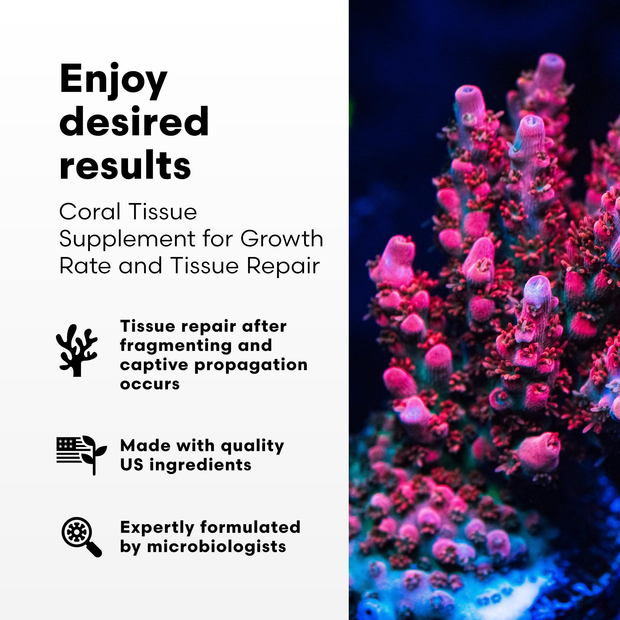 Brightwell Aquatics - Restor Liquid Coral Tissue Supplement - Fish Tank Reef Nutrition for Live Coral Growth Acceleration, Colou