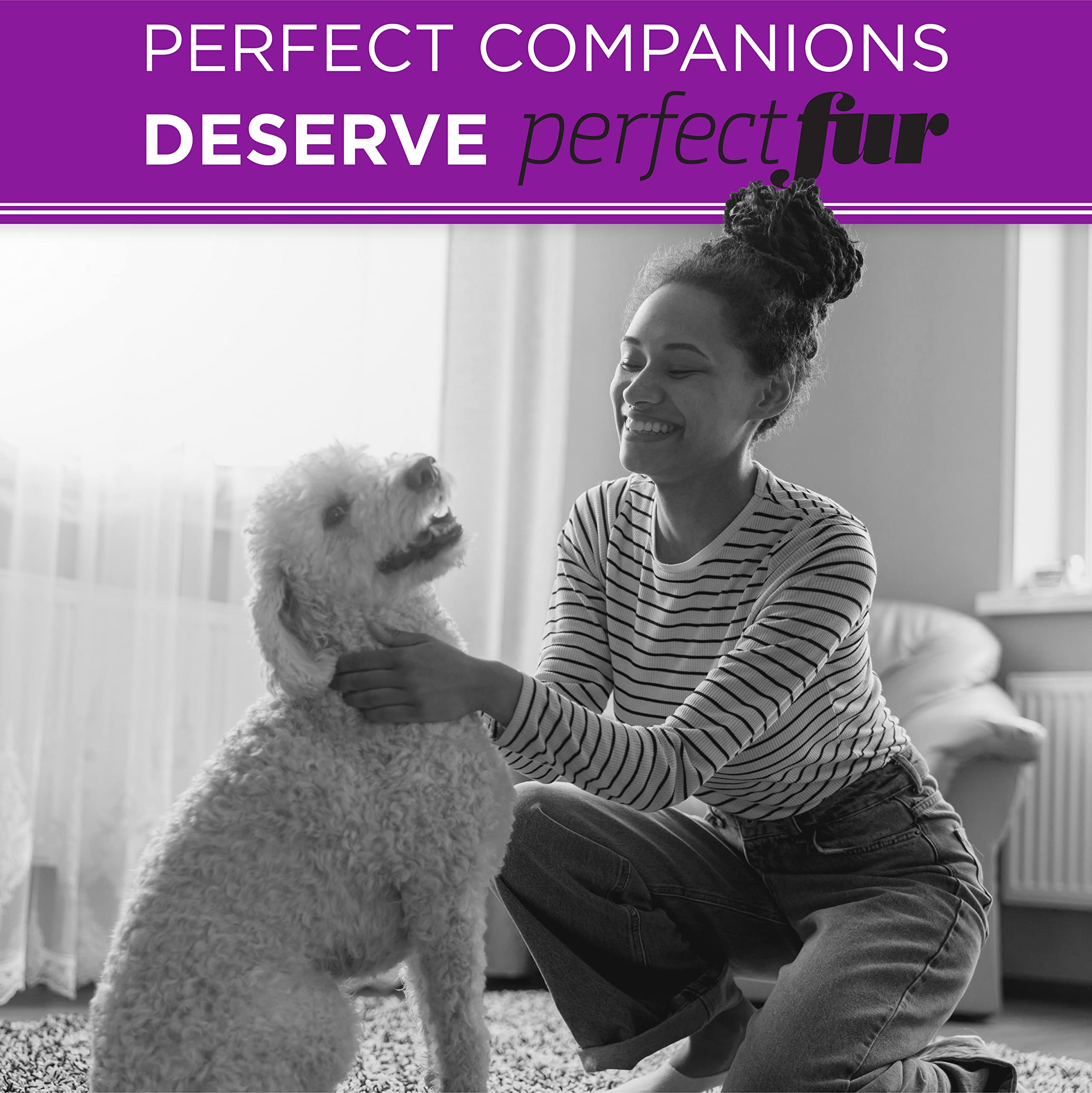 Tropiclean Perfect Fur Detangling Dog Shampoo For Breeds With Curly & Wavy Fur | 16 Oz