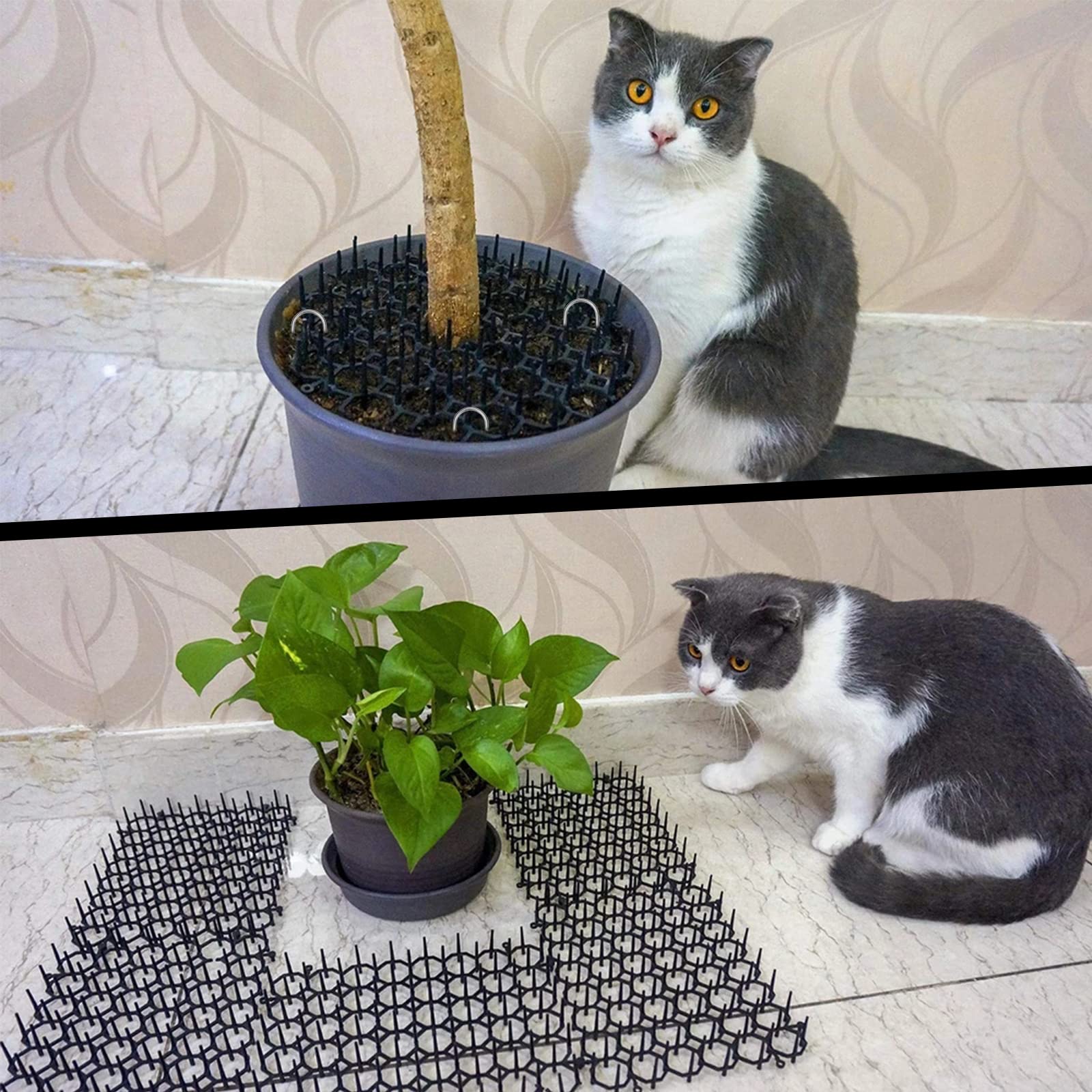 TSLBW 6.2 * 8 Inch 12 Pcs Cat Scat Mat with SpikesCat Repellent Mat with Spikes Pet Deterrent Net Anti Cat Mat Gardening Plastic