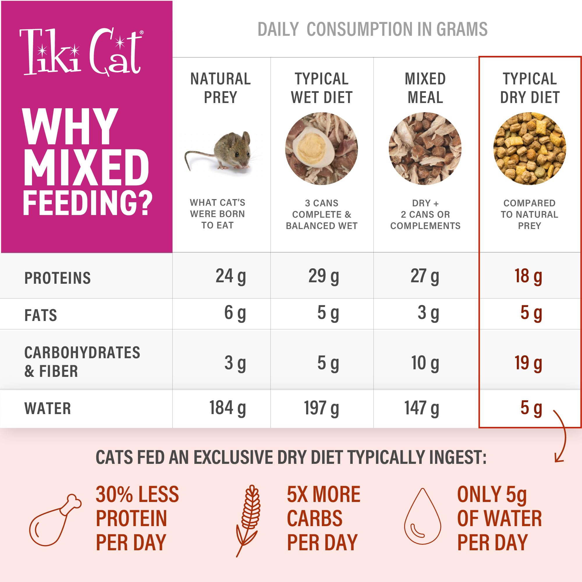 Tiki Cat Born Carnivore Broths, Chicken Recipe, Hydration and Flavor Supplement Cat Food Topper, 1.3 oz. Pouch (12 Count)