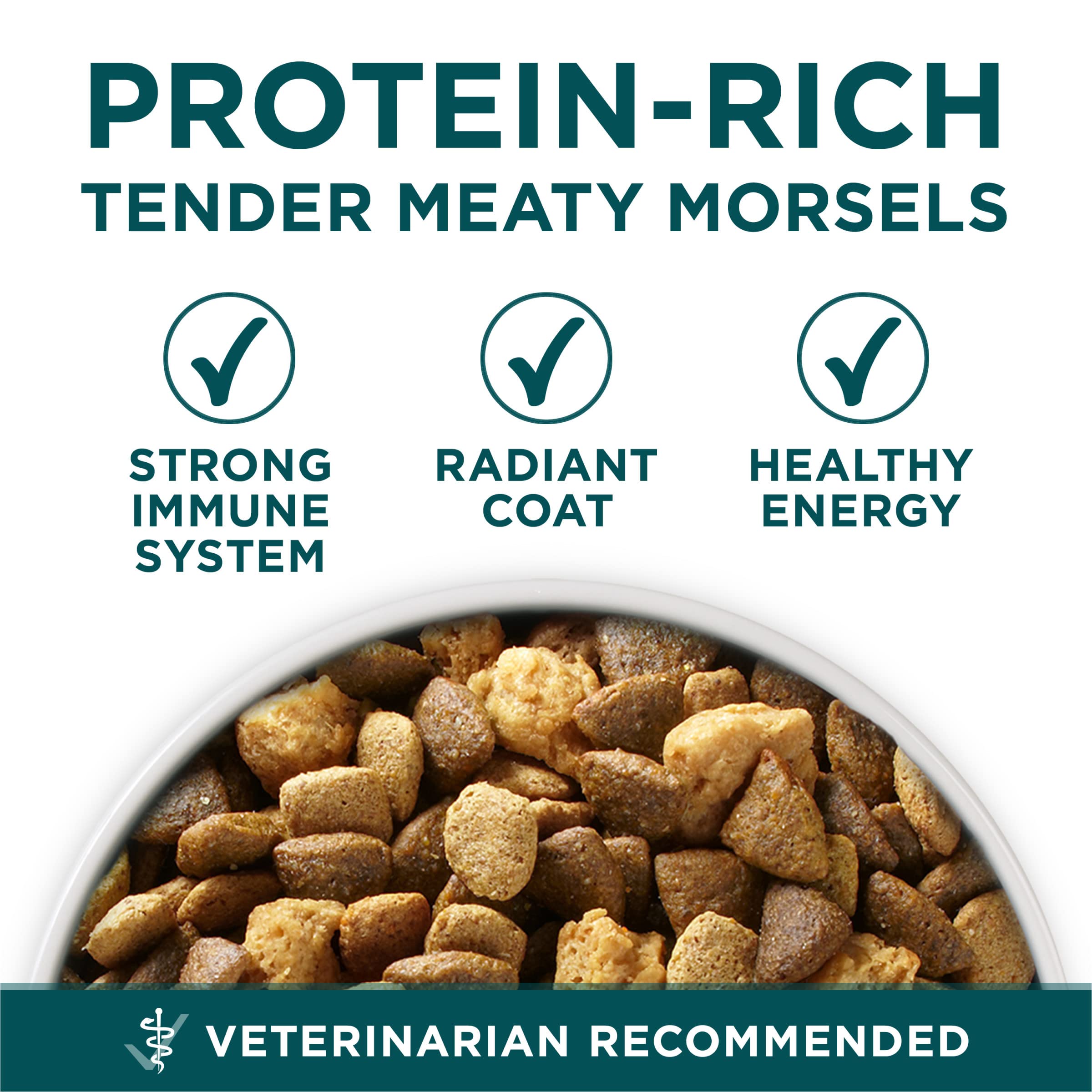 Purina ONE Plus Large Breed Puppy Food Dry Formula - 16.5 lb. Bag