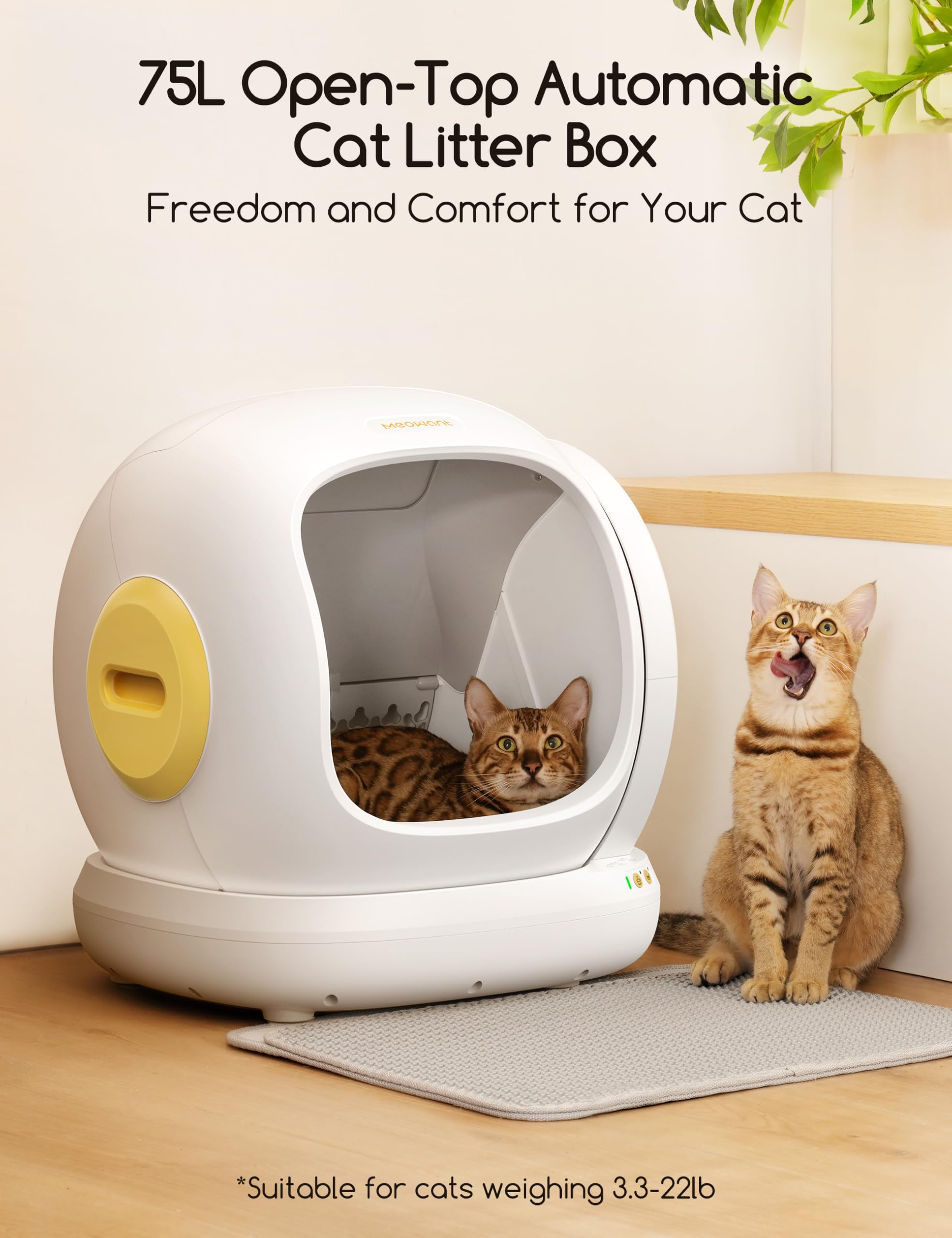 Meowant Self Cleaning Cat Litter Box, Open-Top Automatic Cat Litter Box With Safety Protection, App Control, Odor-Free, 75L Larg