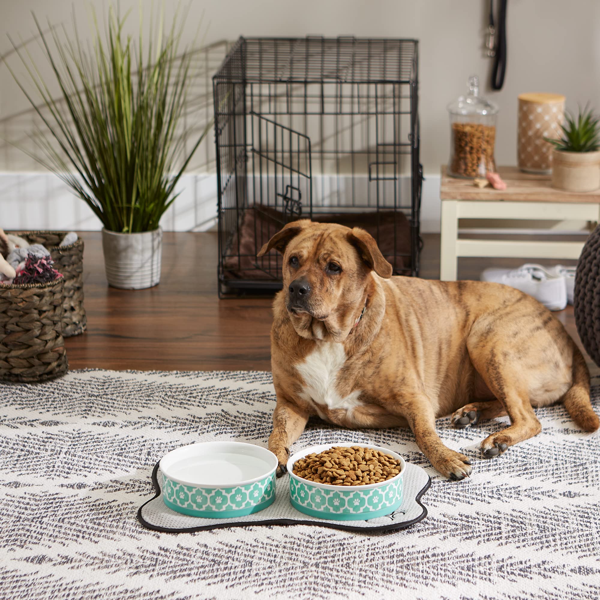 Bone Dry Paw Print Ceramic Pet Bowl, Lattice Collection, Large Set, 7.5x2.4, Aqua, 2 Count