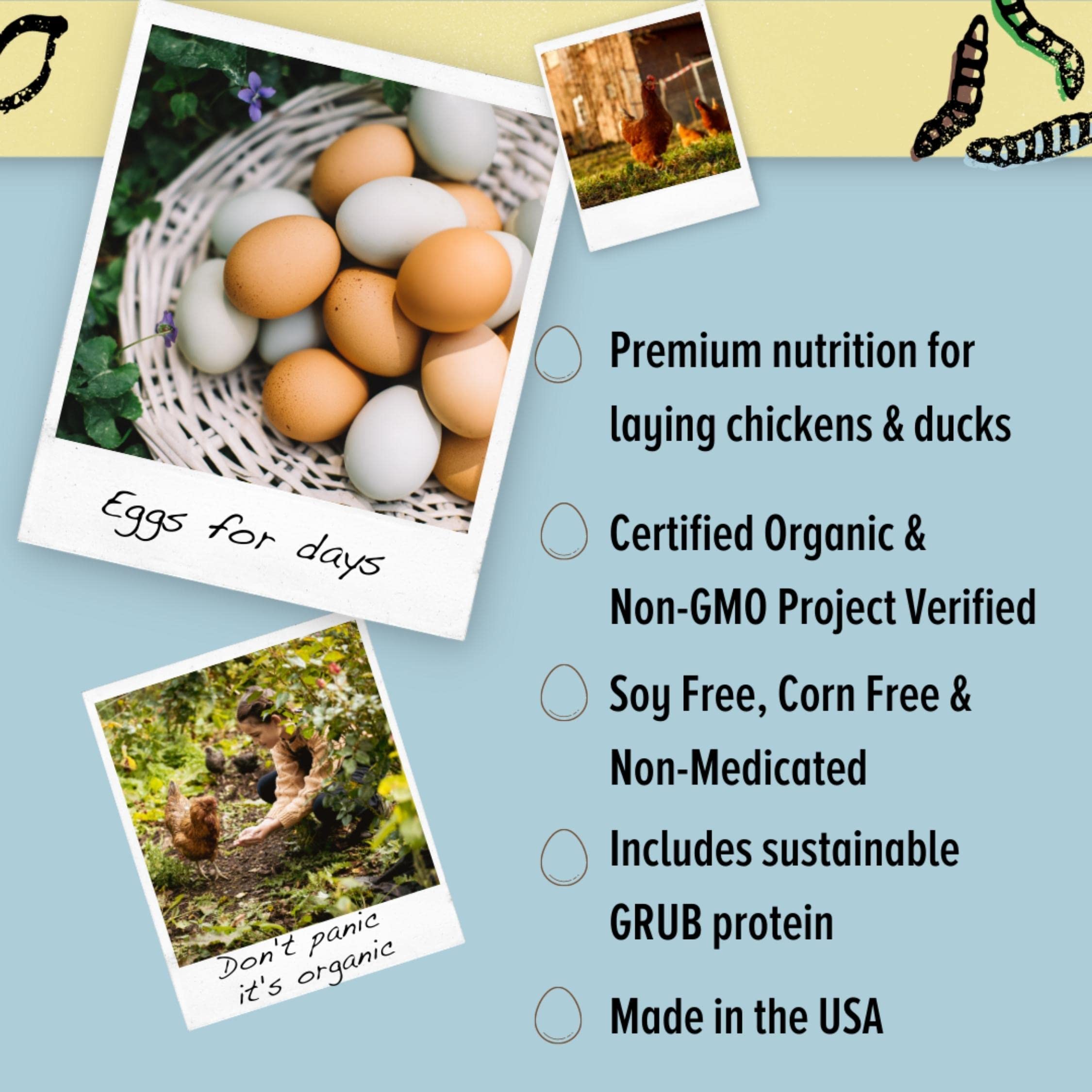 Scratch and Peck Feeds Whole Grain Layer Crumbles Chicken and Duck Feed - 25 lbs Bag - Corn-Free and Soy-Free - 16% Protein, Cer