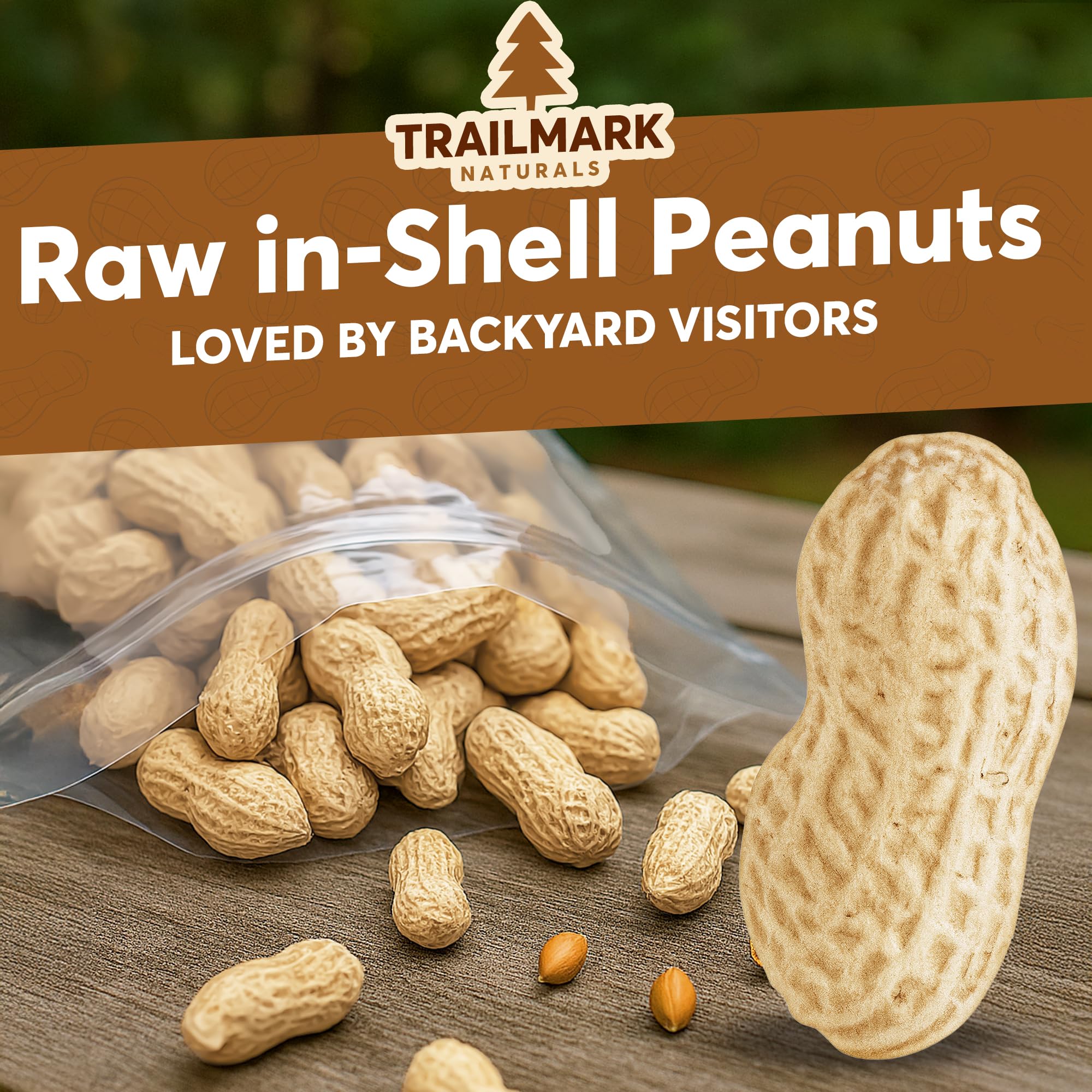 Trailmark Naturals - 8 LB - Raw Peanuts For Squirrels, Raw In Shell Peanuts For Birds and Wildlife- Squirrel Food, Wild Bird See