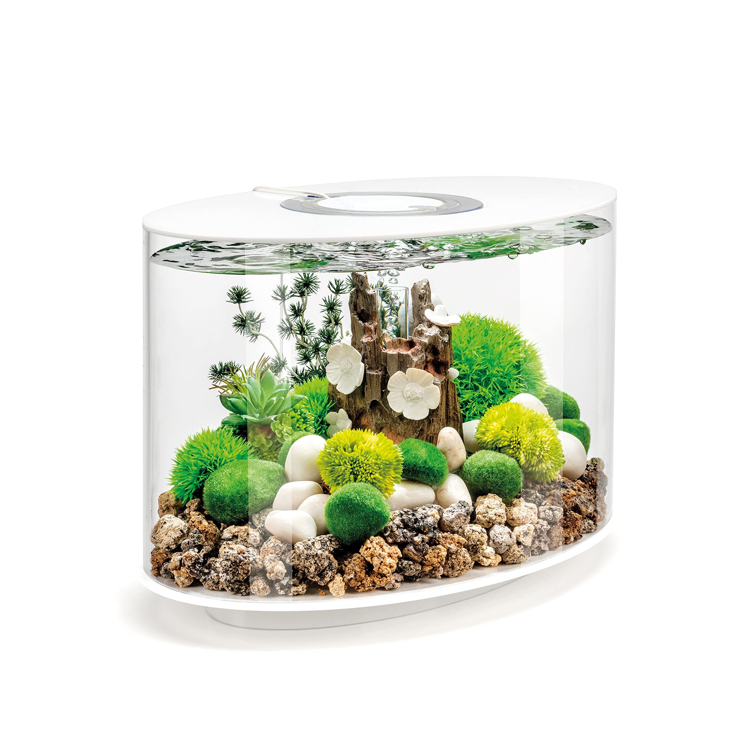 biOrb Loop 15 Acrylic 4-Gallon Aquarium with White LED Lights Modern Compact Tank for Tabletop or Desktop Display, White-Trimmed