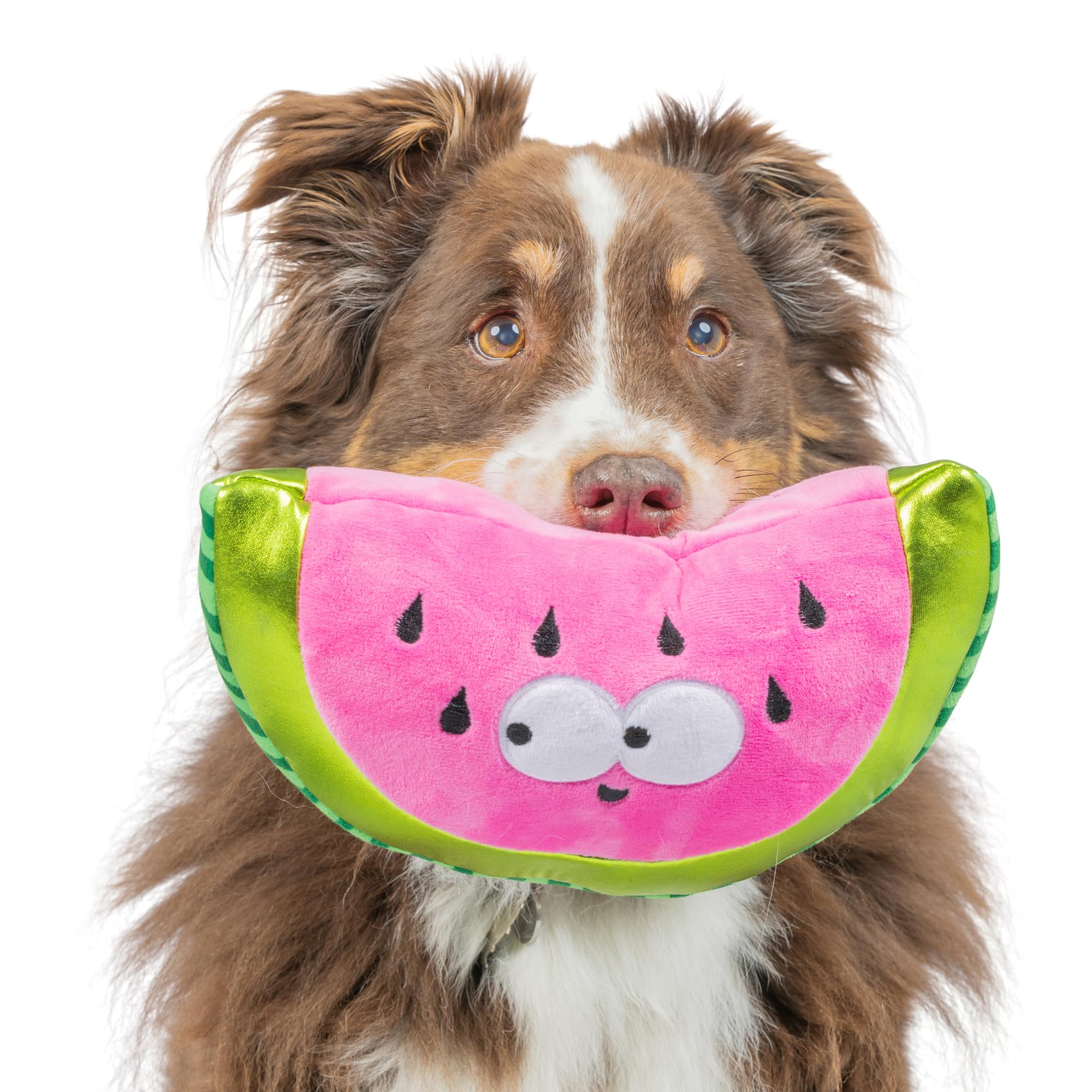 Huxley & Kent For Dogs - Walter Melon (Small) - Power Plush Dog Toy With Squeaker - Fun, Durable - H&K Squeaky Funny Dog Toy