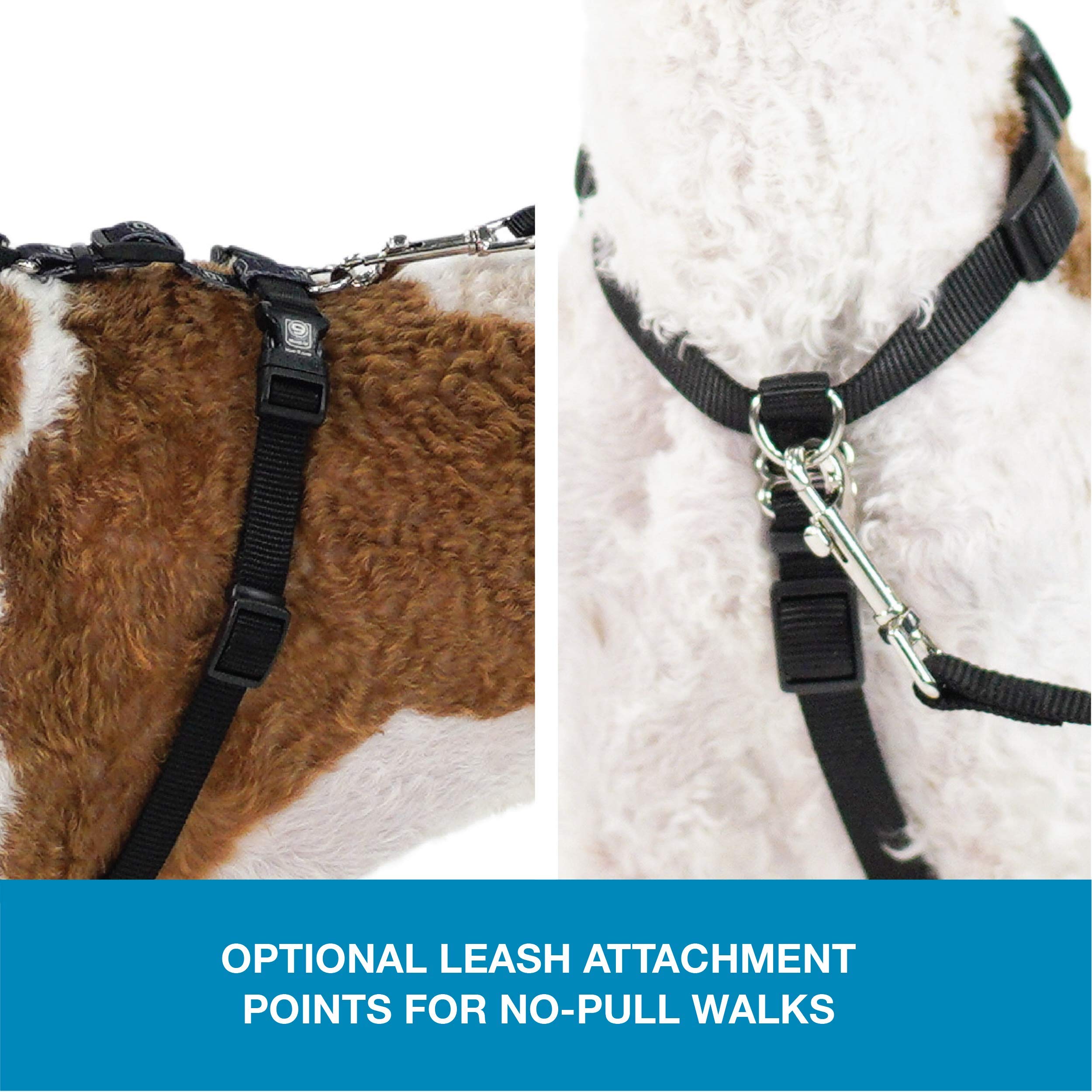 Blue-9 Pet Products No-Pull Balance Harness And Loose Leash Walking Set Dogs, Made In The Usa, Black, Medium/Large