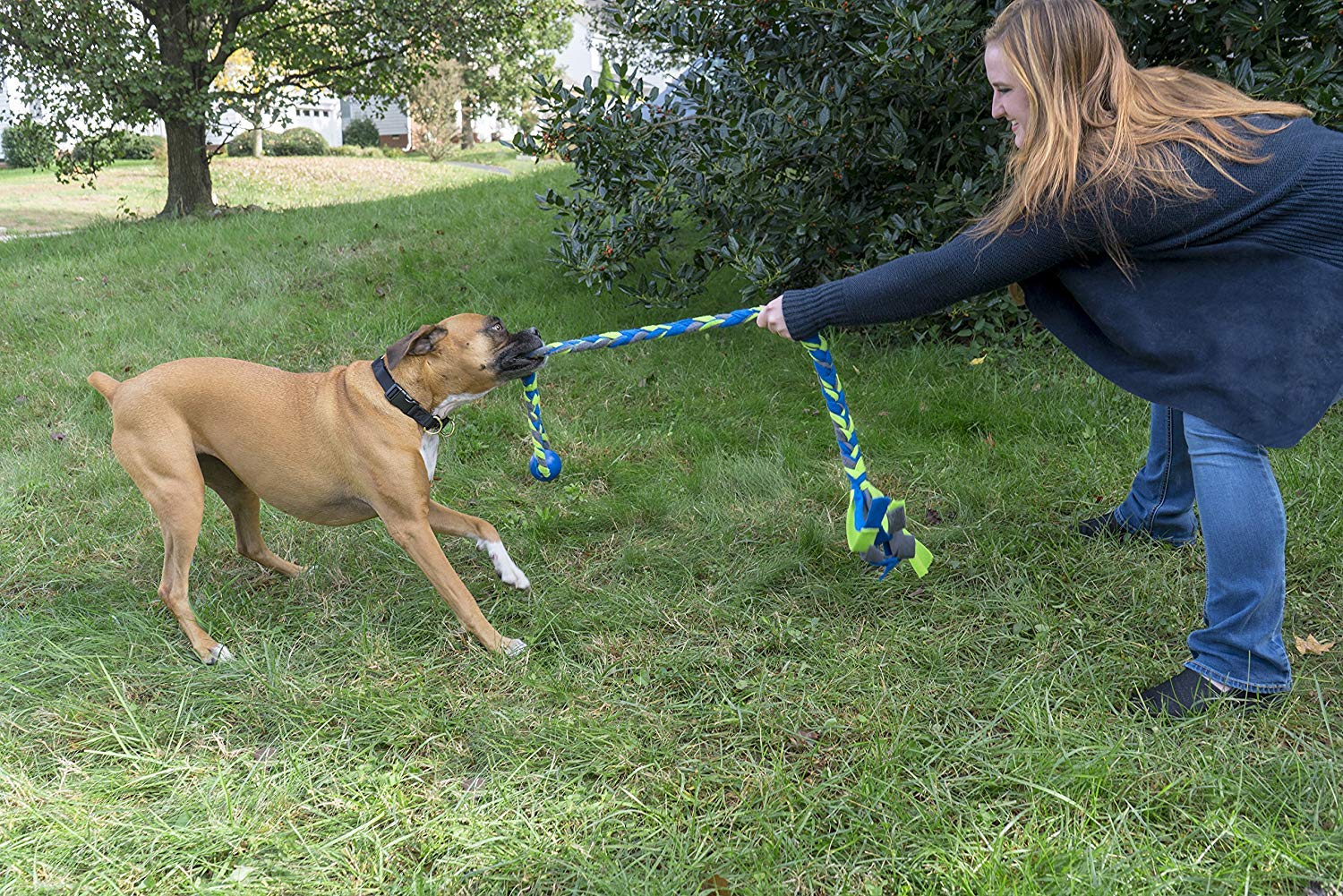 Petsafe Infini-Tug Dog Toy
