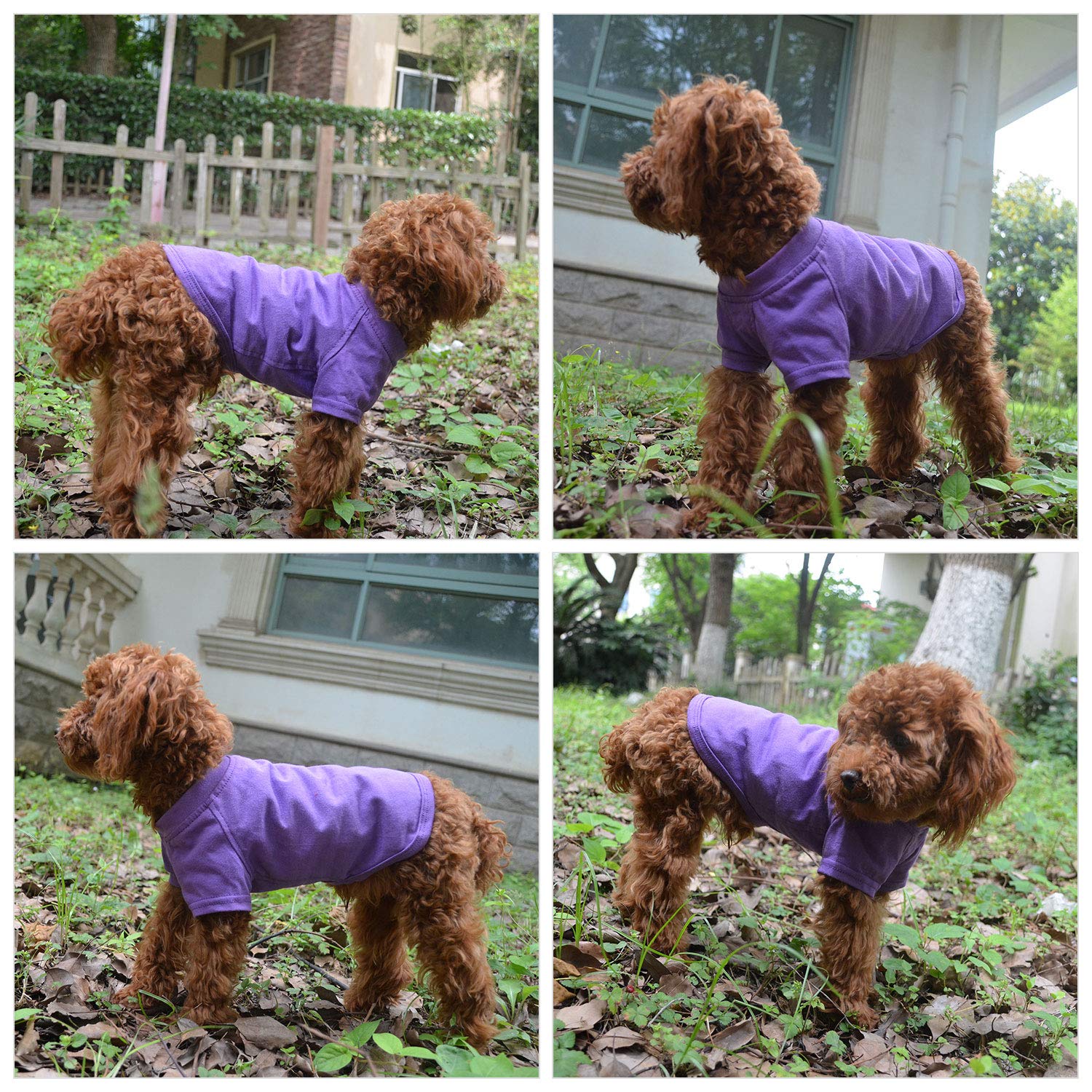 Lovelonglong 2019 Pet Clothing Dog Costumes Basic Blank T-Shirt Tee Shirts For Small Dogs Purple Xs