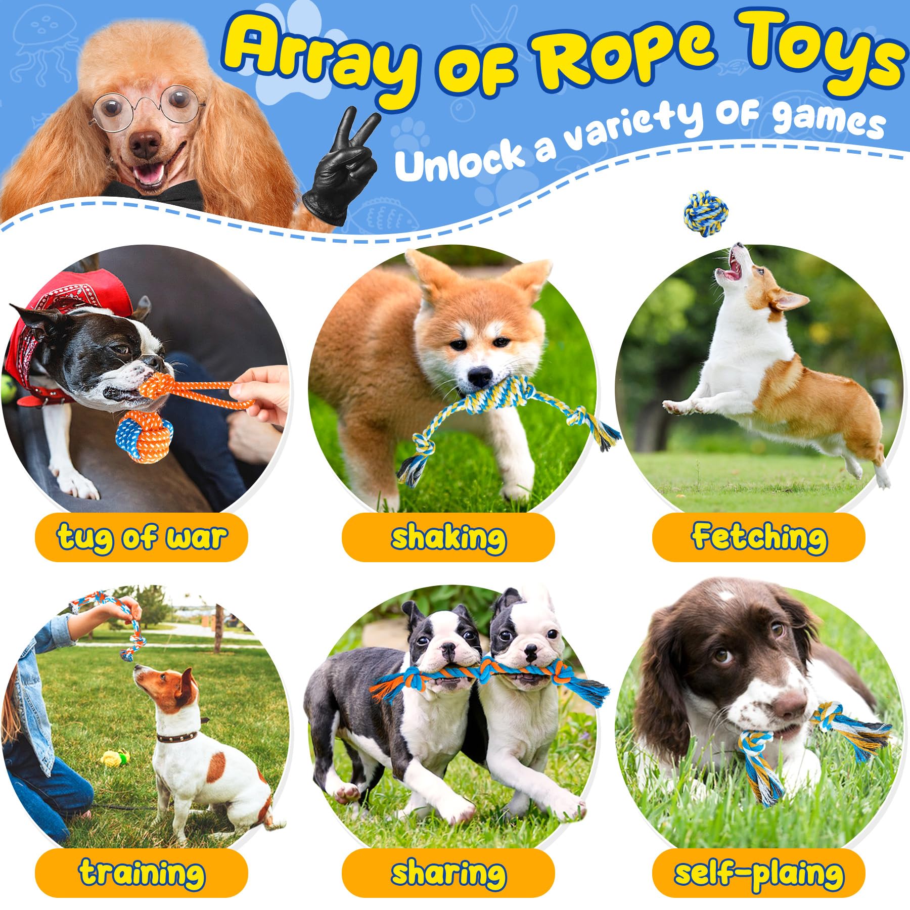 Eefitoys Puppy Toys 23 Pack, Interactive Dog Toys For Puppy Teething, Puppy Chew Toys With Squeaky Plush Toys, Rope Toys And Dog