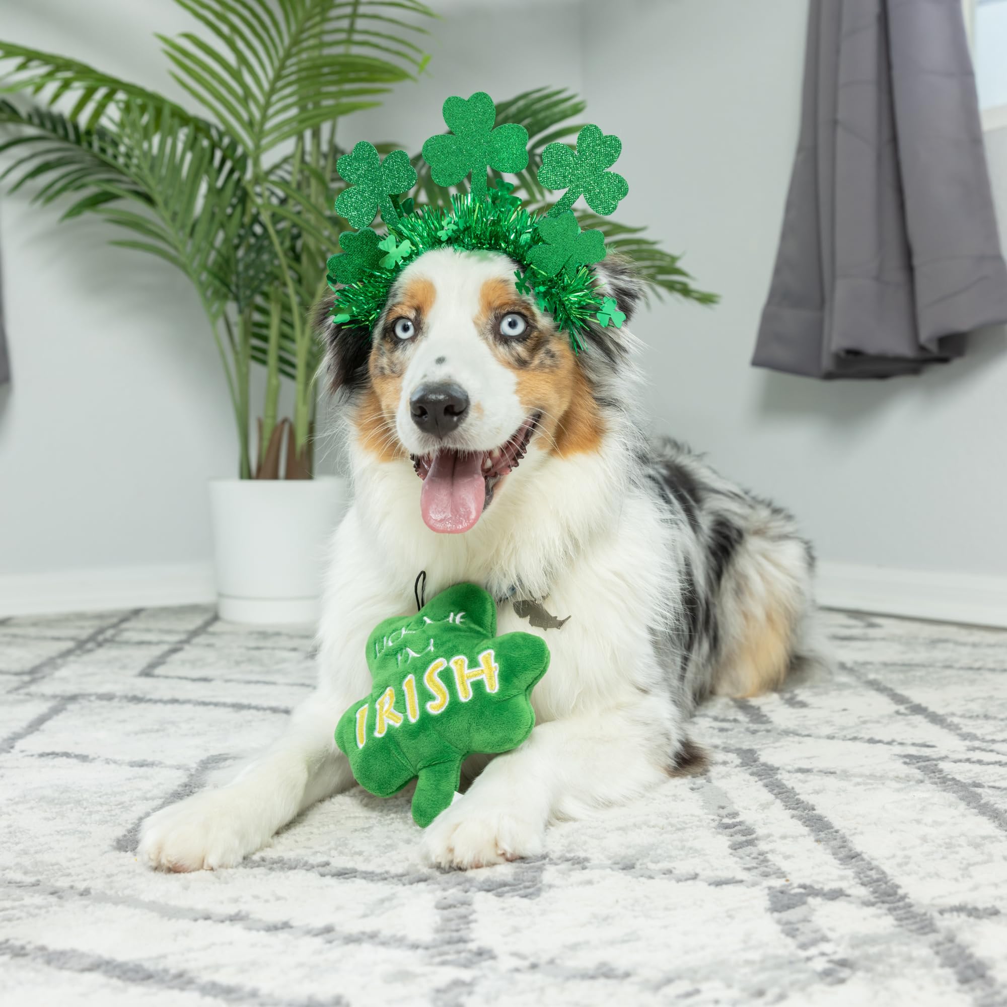 Huxley & Kent For Dogs - Lick Me Shamrock - St. Patricks Day Power Plush Dog Toy With Squeaker - Funny Dog Toy - Fun, Durable, A