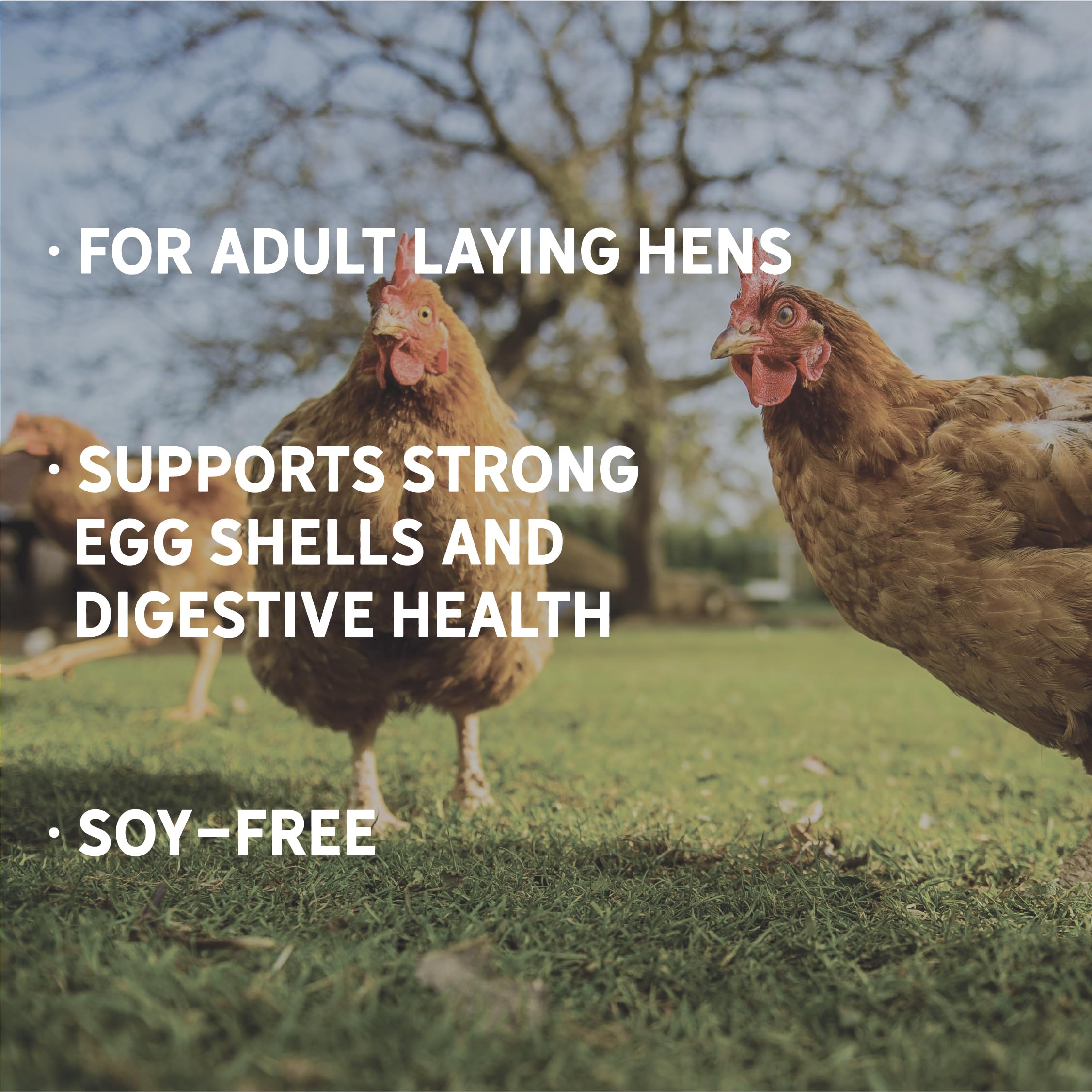 New Country Organics | Classic Grind Layer Chicken Feed for Laying Hens | Ground Grain | Soy-Free | 17% Protein | Certified Orga