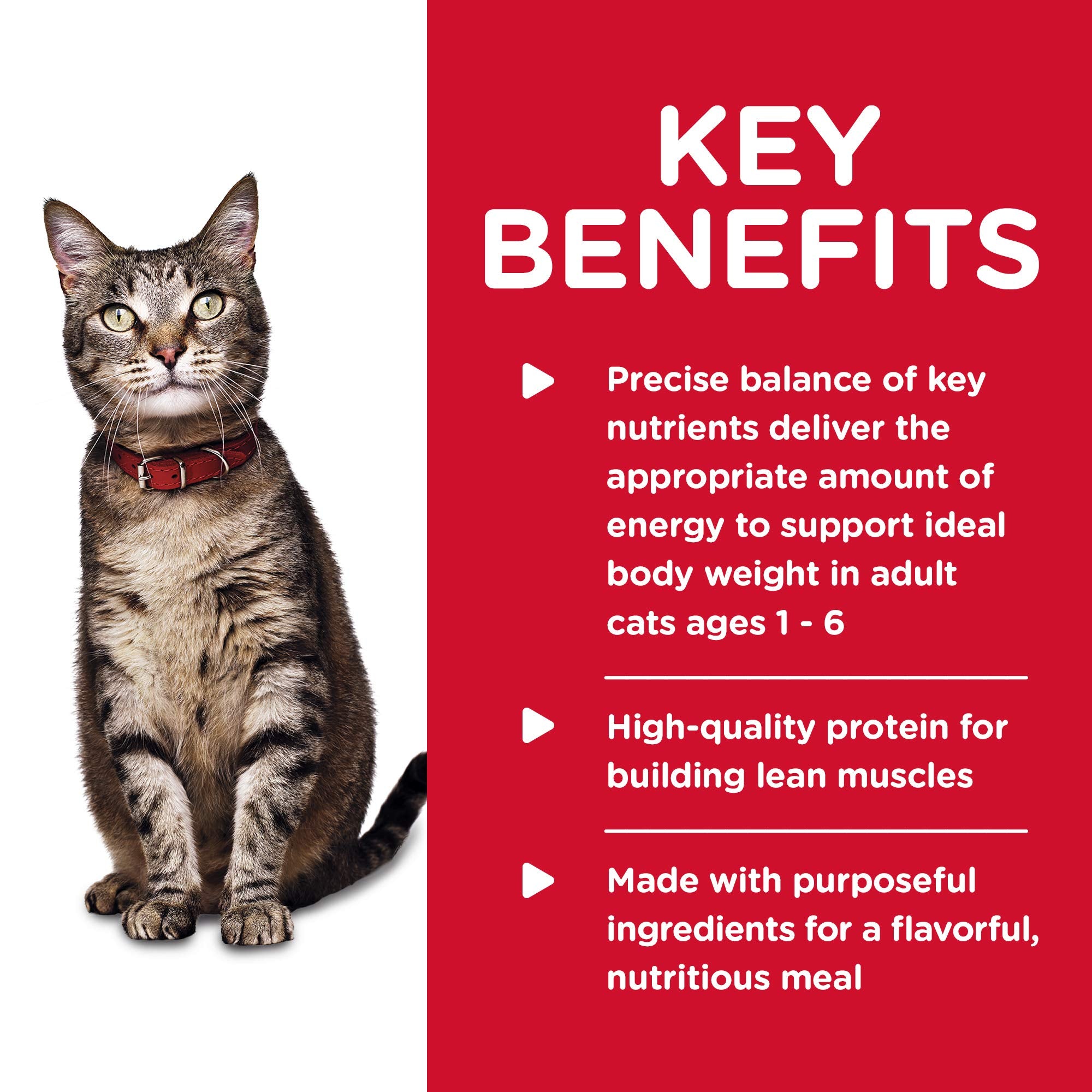 Hills Science Diet Adult 1-6, Adult 1-6 Premium Nutrition, Wet Cat Food, Chicken Minced, 5 oz Can, Case of 24