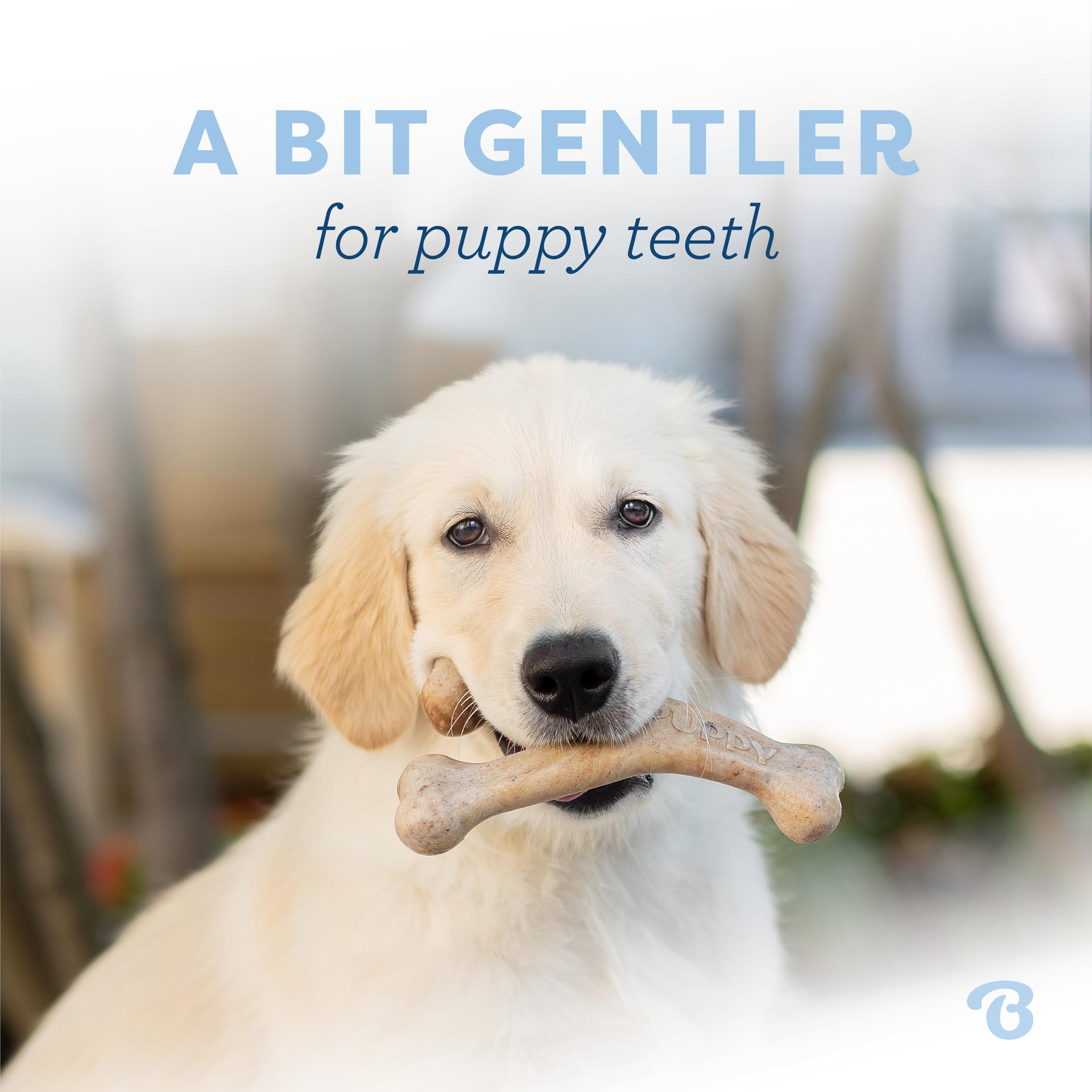 Benebone Puppy Wishbone Dog Chew Toy, Made In Usa, Real Bacon Flavor, Small