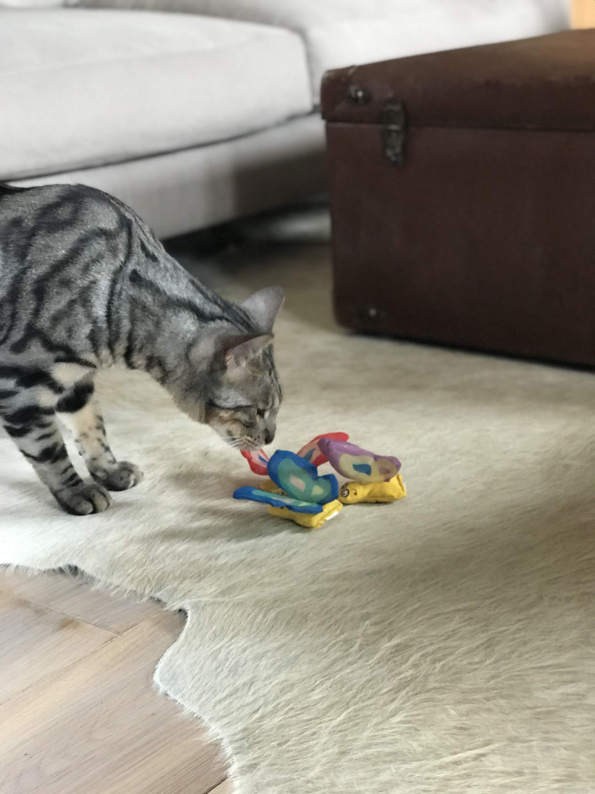 Yeowww! Organic Very Strong Crinkle Catnip Cat Toy (1 X Red L6Cm H 7Cm)