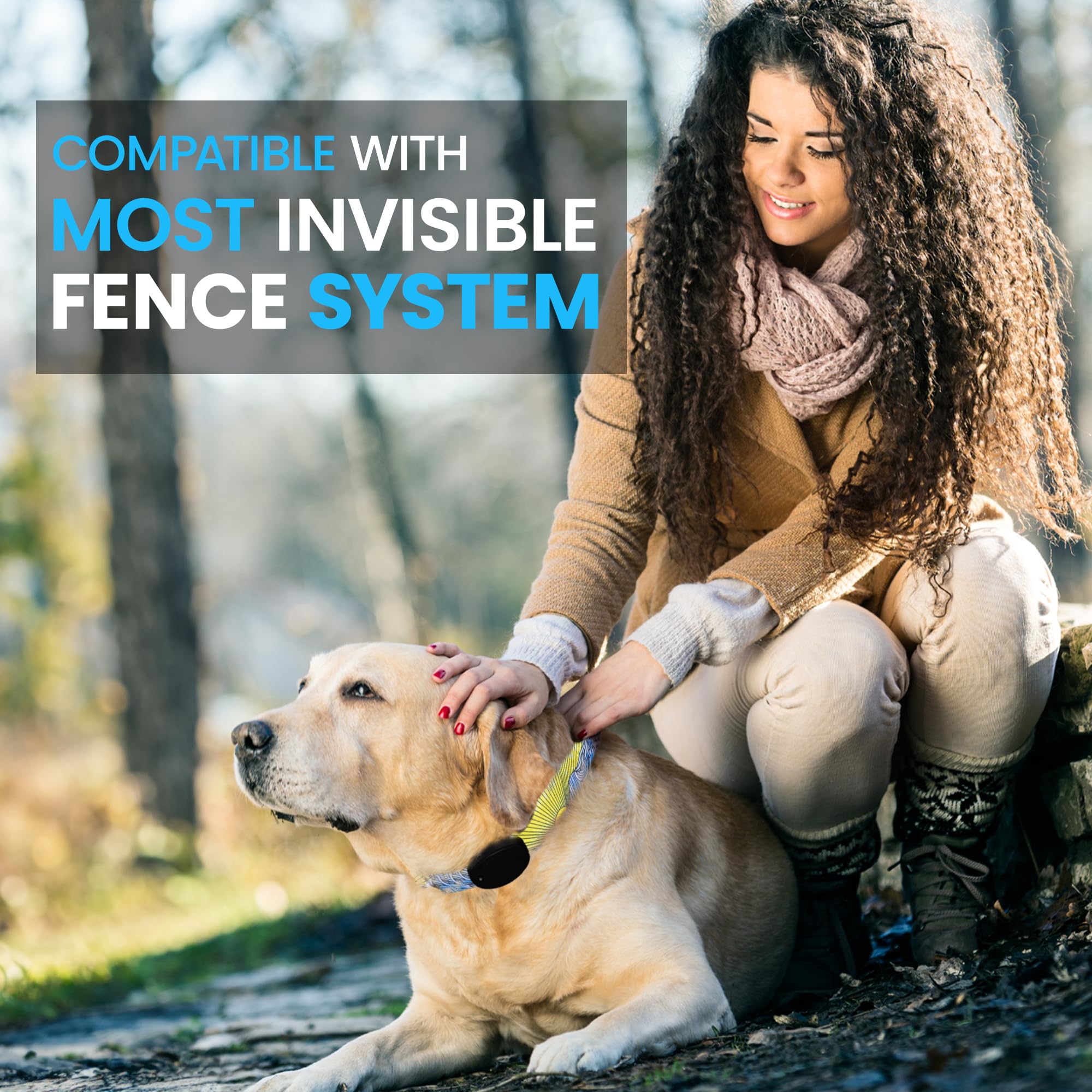 Replacement Strap For E-Collars - Compatible With Petsafe, Invisible Fence, And Other Shock Collars - Medium Size, Summit Design