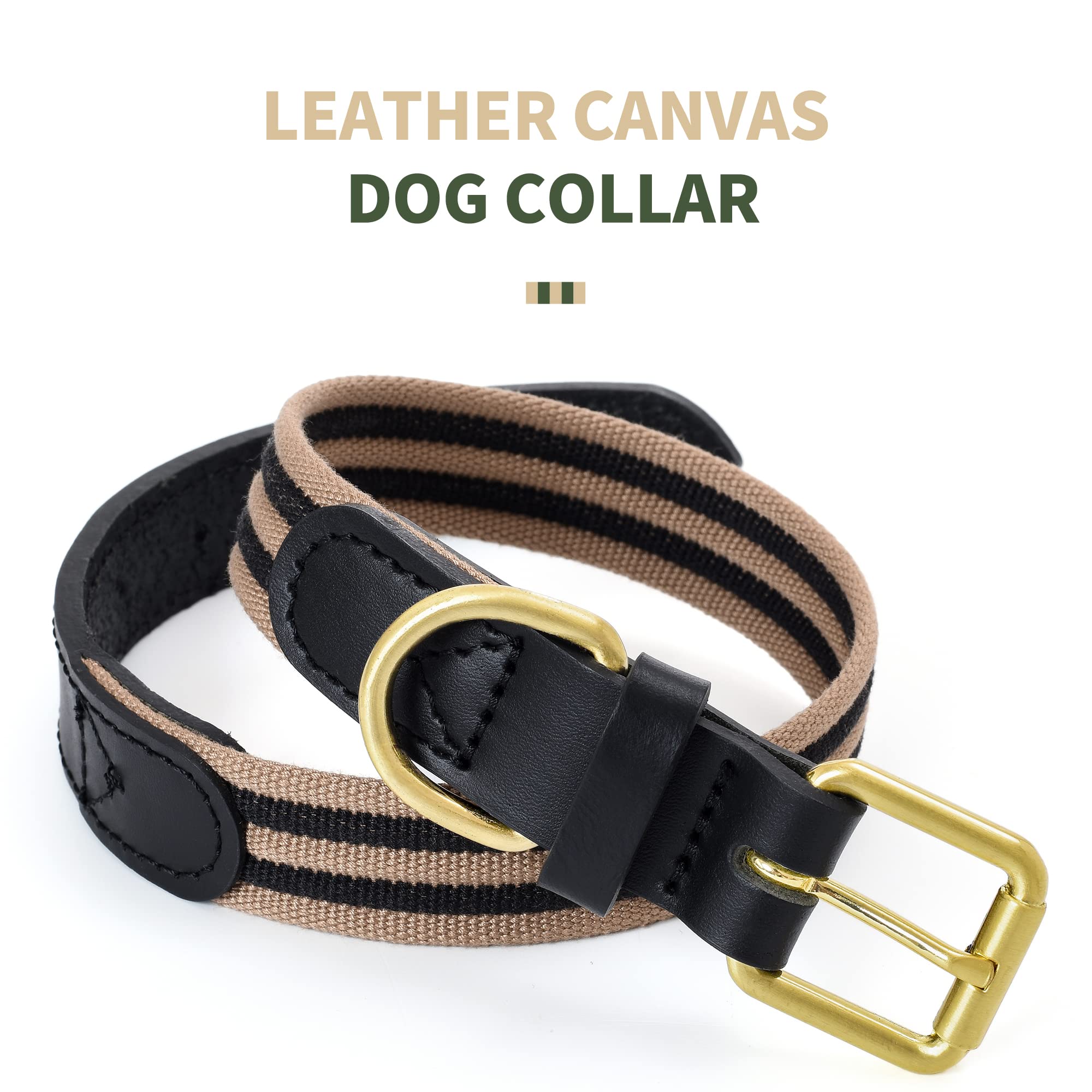 Mile High Life | Genuine Leather Dog Collar | Heavy Duty Canvas Dog Collars With Adjustable Rust-Proof Metal Pin Buckle | Boy Do