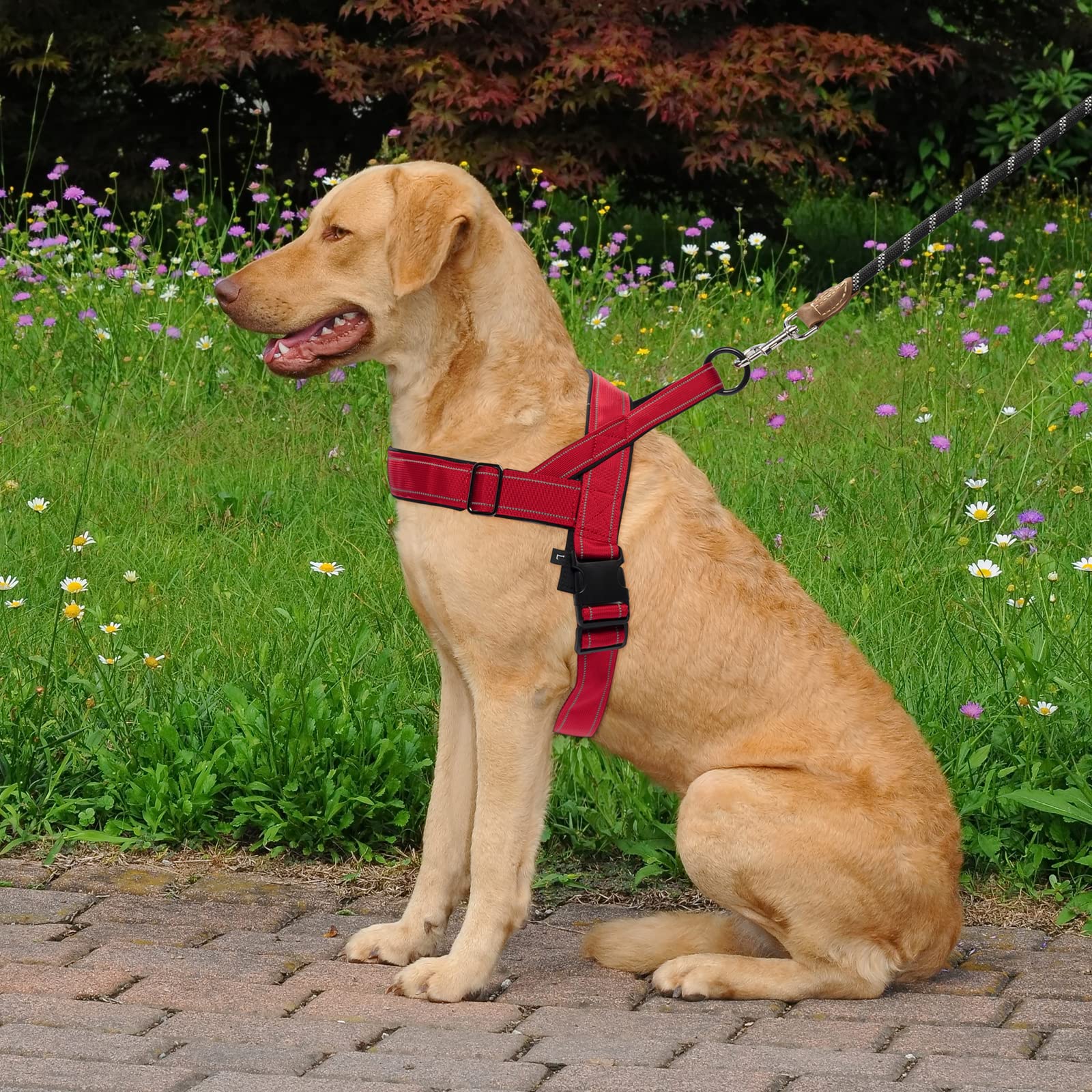Qifbyfb Red No Pull Dog Harness For Small Medium Large Sized Dog, Reflective Escape Proof Adjustable Dog Harnesses With 2 Patch,