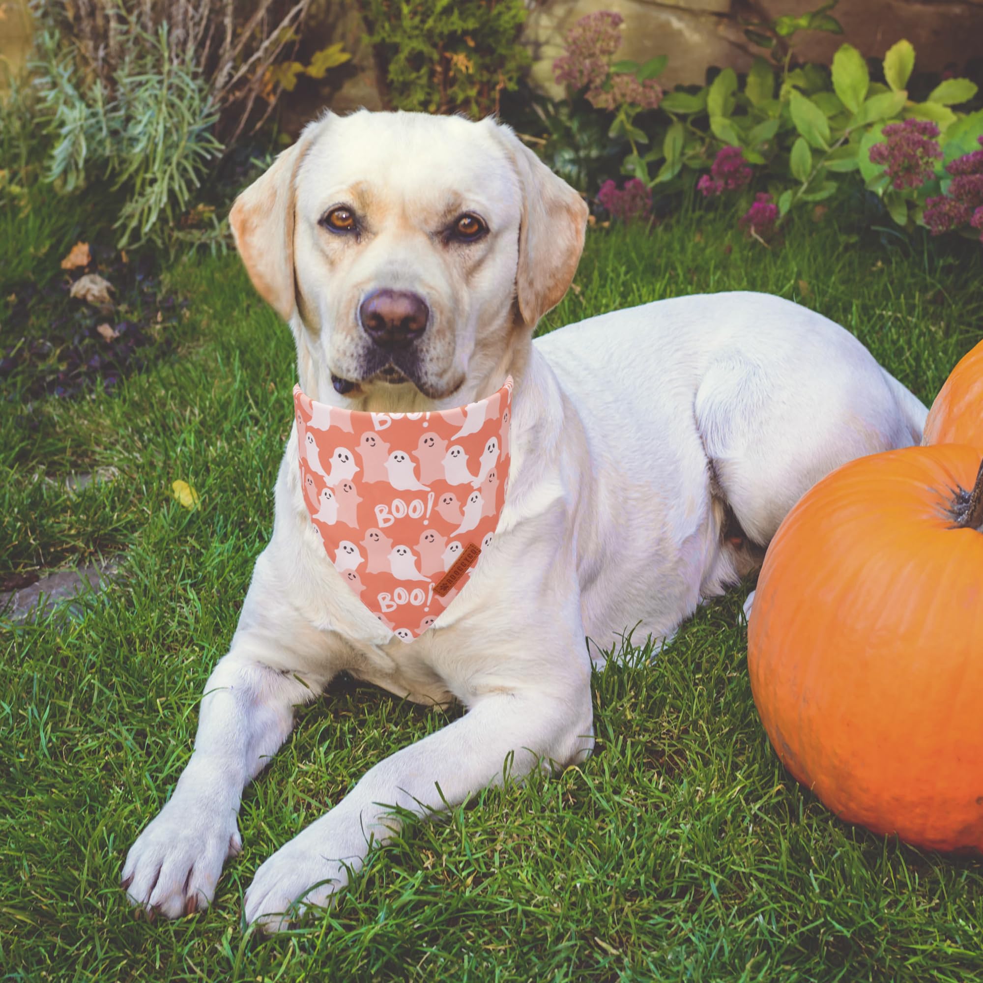 Adoggygo Halloween Dog Bandana, Pumpkin Ghost Pet Scarf, Orange Black Halloween Bandanas For X-Large Dog (X-Large)