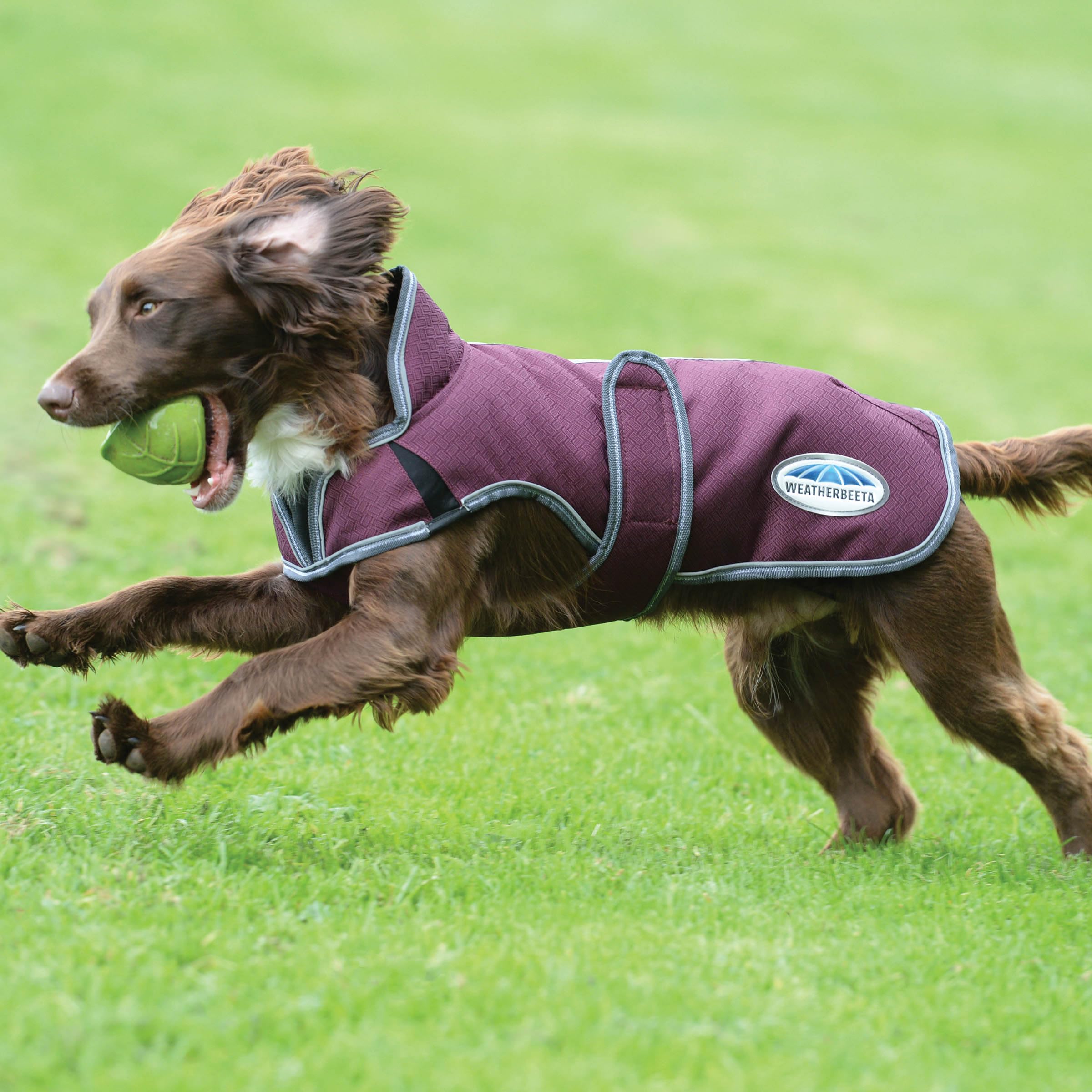 Weatherbeeta Comfitec Premier Free Parka Deluxe Dog Coat Medium, Maroon/Grey/White, 28