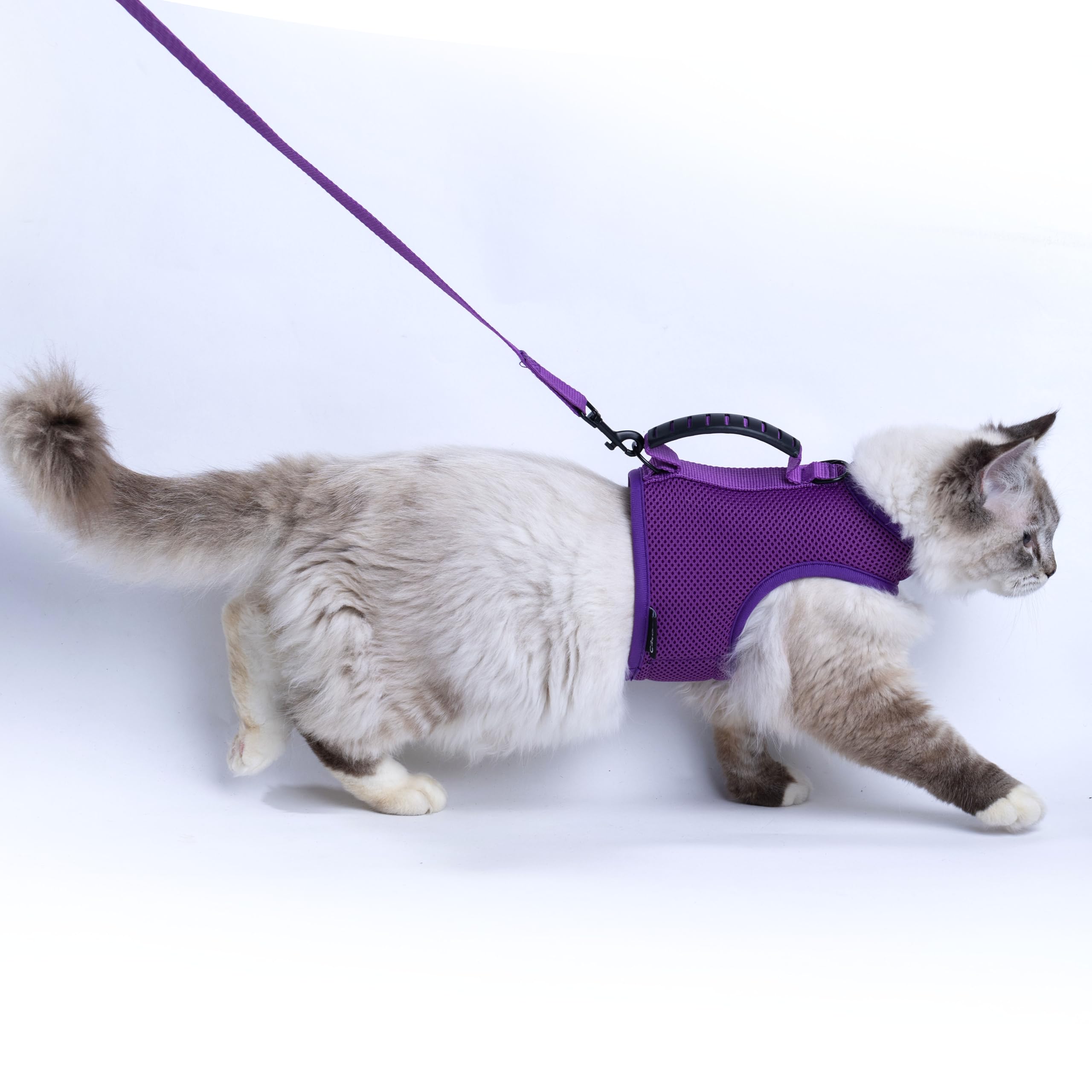 Yizhi Miaow Cat Harness and Leash for Walking Escape Proof Breathable Mesh Fabric, Purple, Medium, Adjustable Cat Walking Jacket