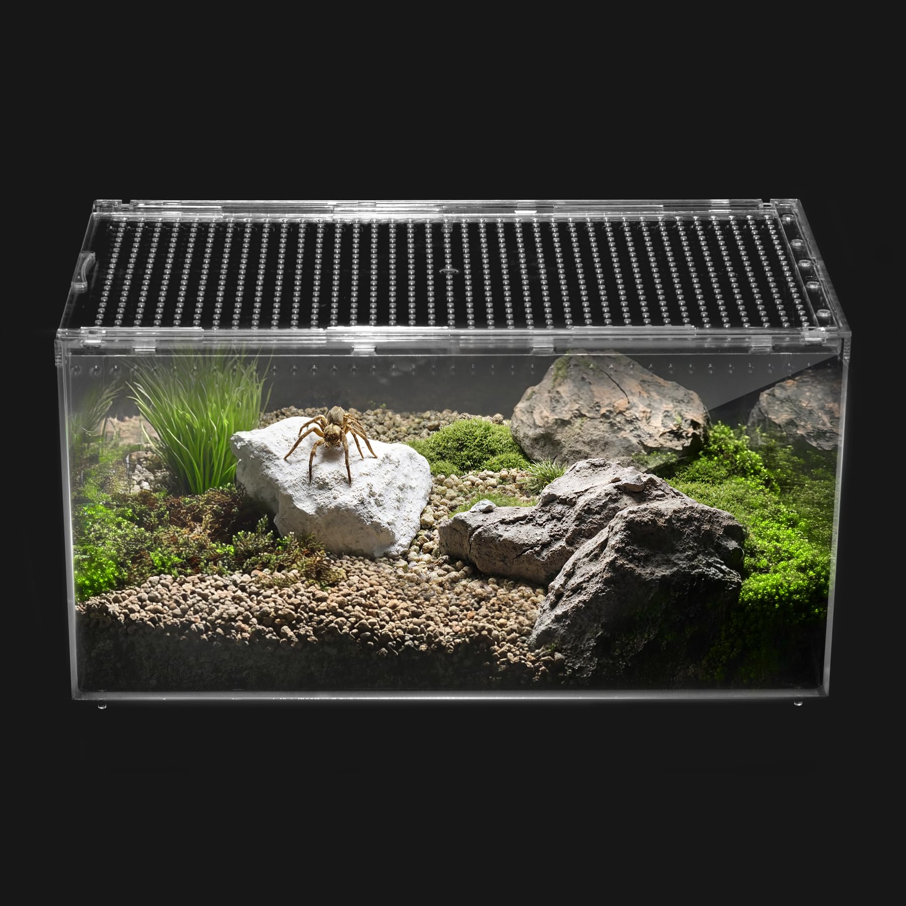 Reptile Pc Terrarium, Spider Tank Starter Kit, Leopard Gecko Container, Tarantula Cage, Hermit Crab Habitat, Lizard Enclosure, I