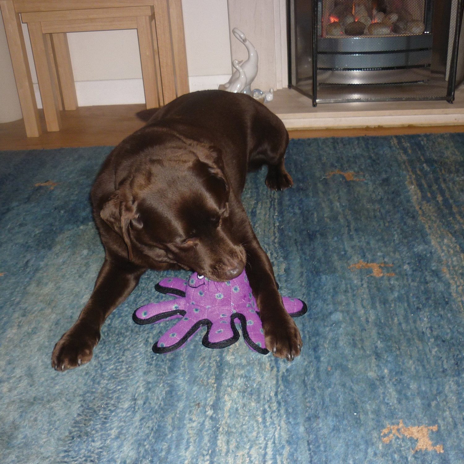 Tuffy - World'S Tuffest Soft Dog Toy - Barnyard Brown Rabbit - Squeakers - Multiple Layers. Made Durable, Strong & Tough. Interactive Play (Tug, Toss & Fetch). Machine Washable & Floats