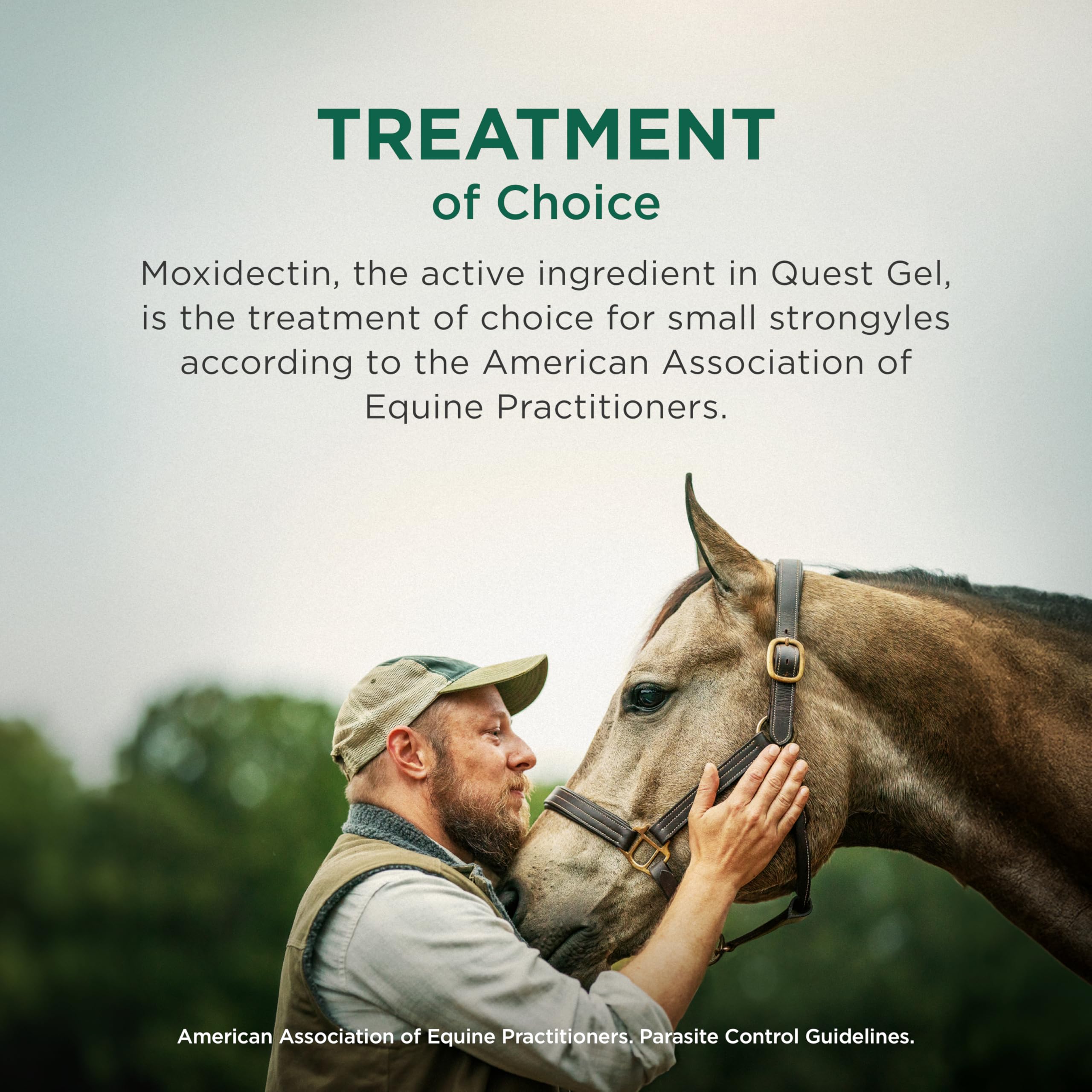 Quest Gel Moxidectin Horse Dewormer, Early Grazing Season recommended for Horses and Ponies 6 months and older, 0.5oz Sure-Dial