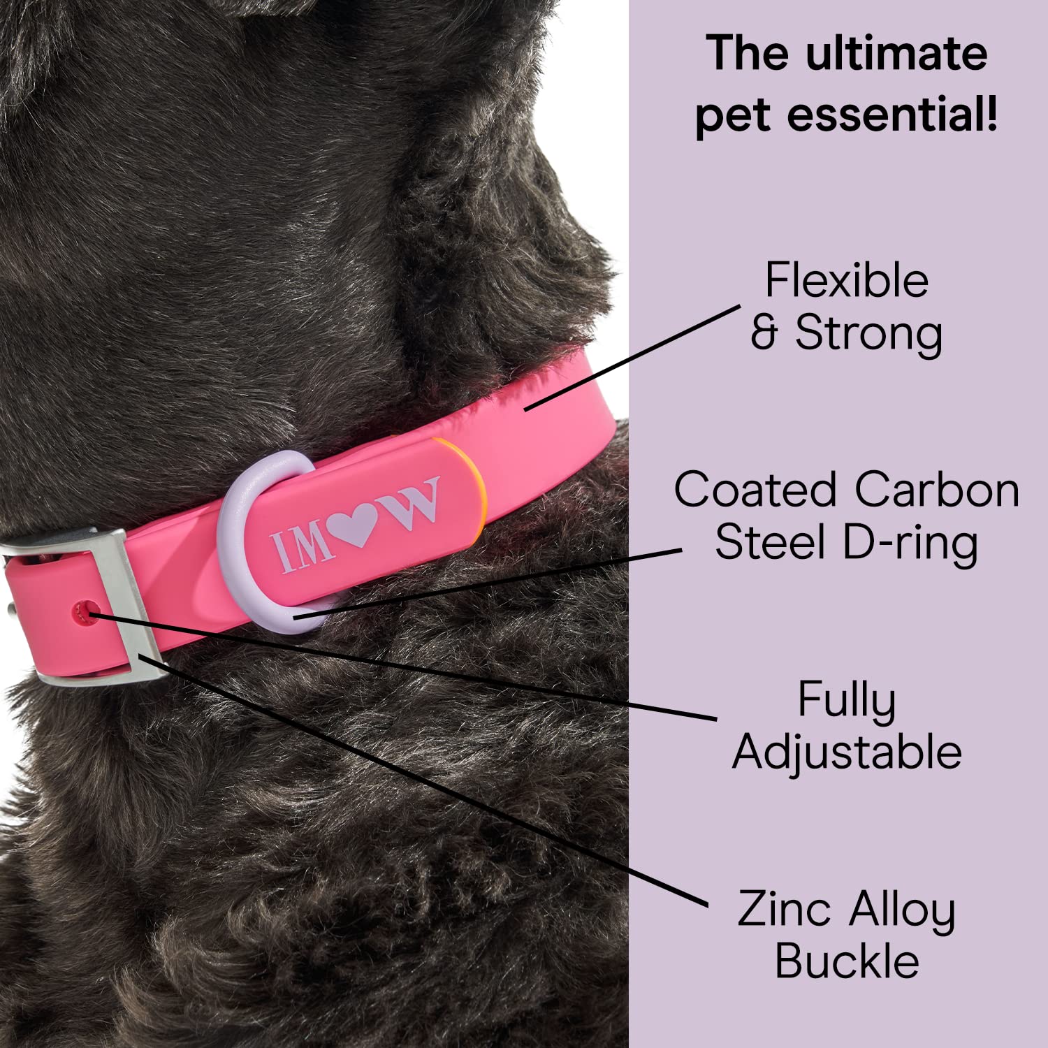 Wild One Dog Collar, Easy-Clean, All Weather Flex-Poly Strap With Metal, Durable, Dirt And Odor Resistant (Cosmopolitan, Xl)