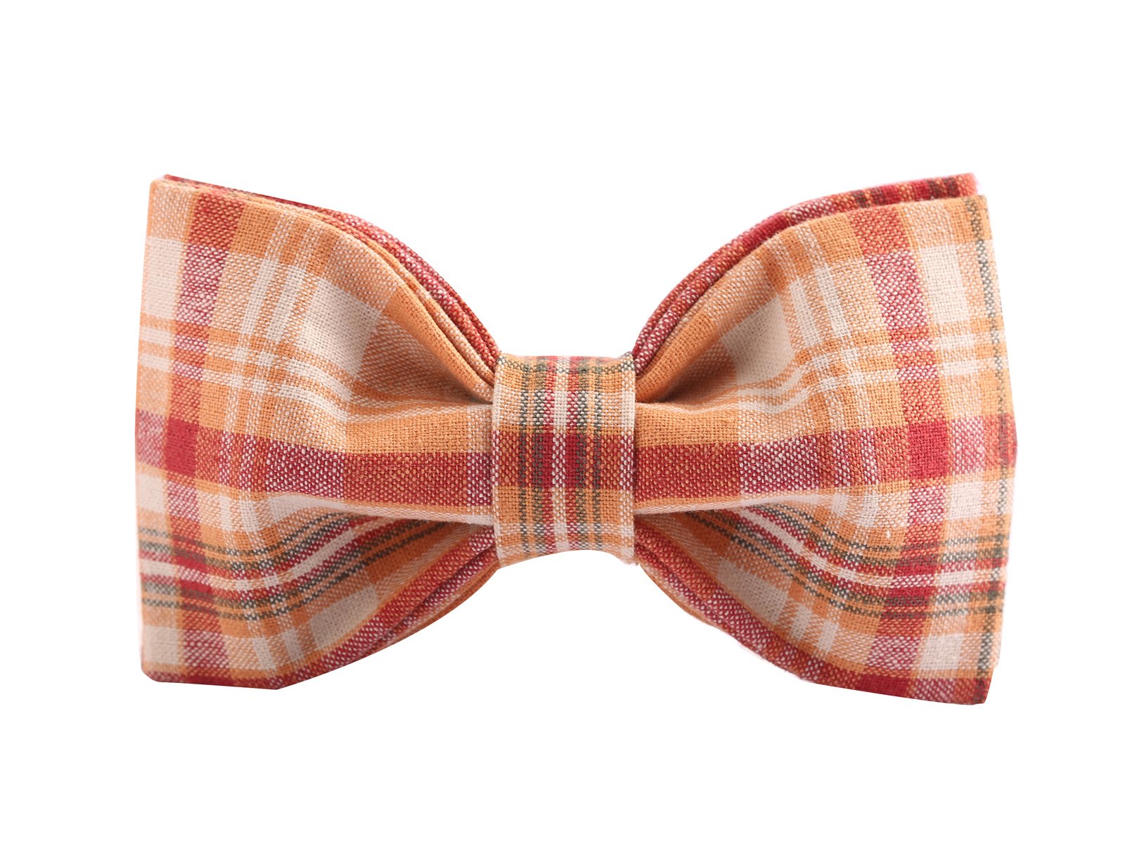 Lionet Paws Dog and Cat Collar with Bowtie Grid Collar Plastic Buckle Light Adjustable Collars for Small Medium Large Dogs