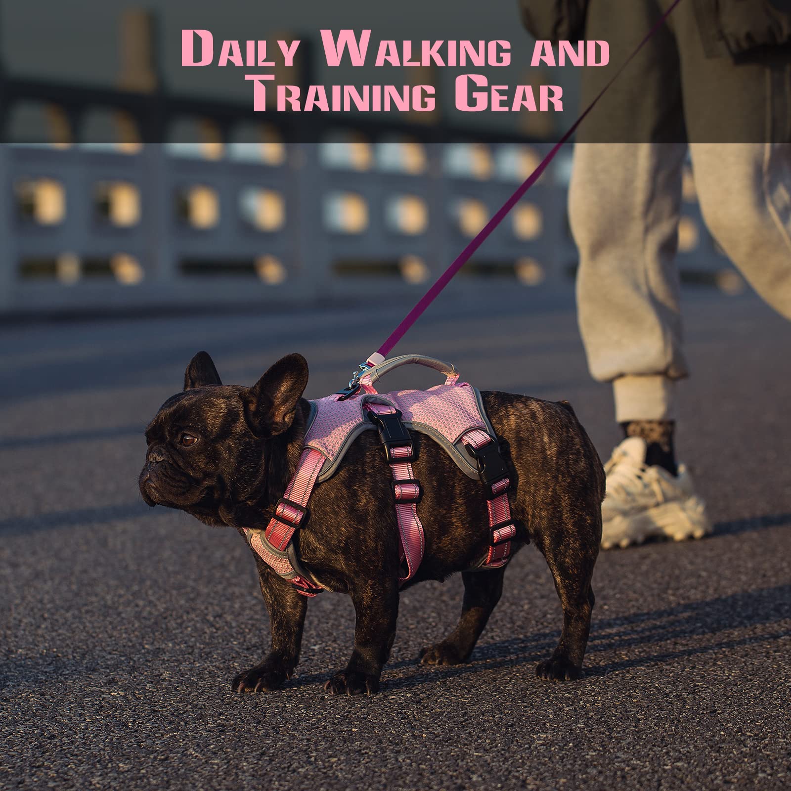 No Escape Dog Harness, Escape Proof Harness, Fully Reflective Harness With Padded Handle, Breathable,Durable, Adjustable Vest For Medium Dogs Walking, Training, And Running Gear Pink (Medium)