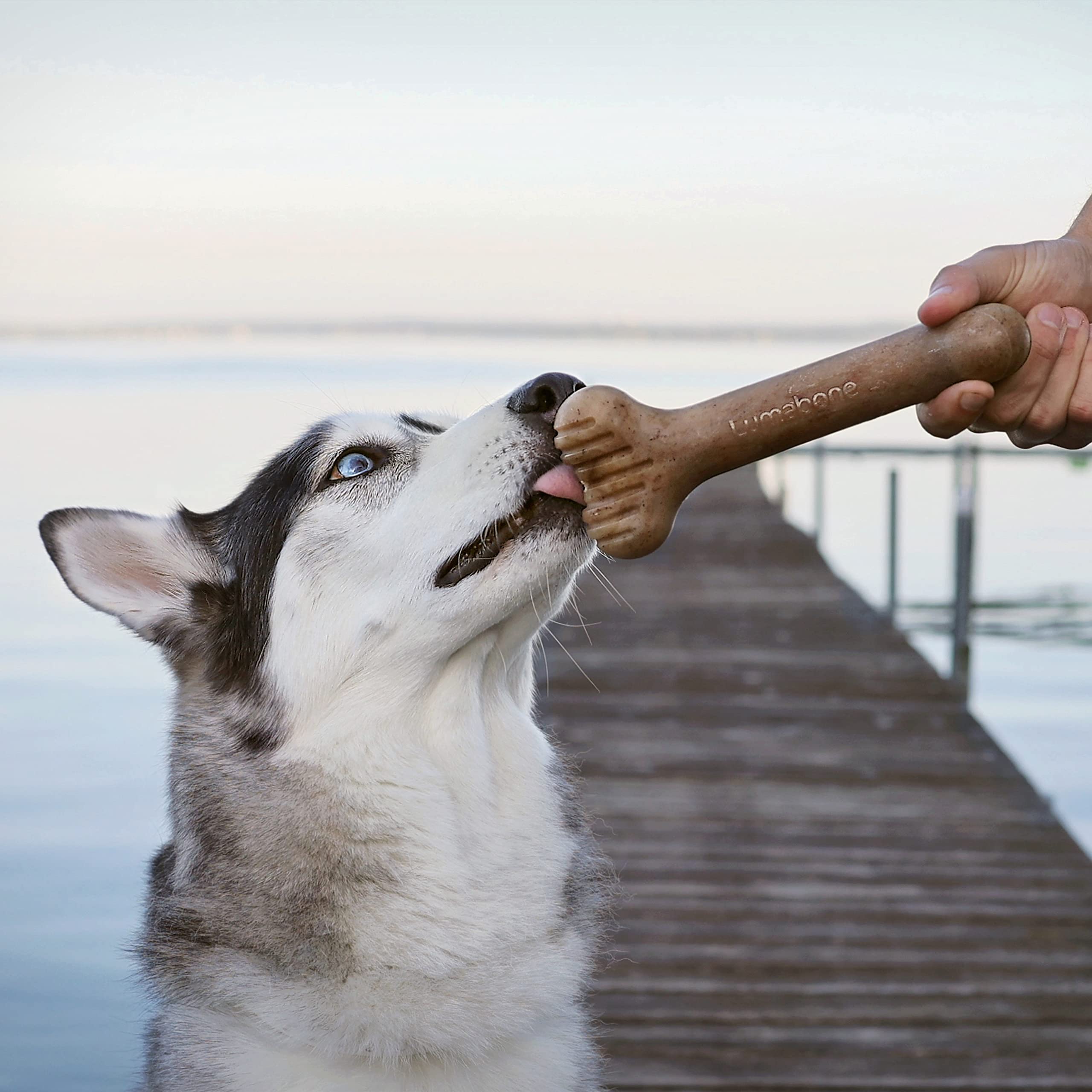 Lumabone Bulkster Durable Chew Toy For Aggressive Chewers, Dog Toys For Aggressive Chewers, Dog Toys, Real Bacon, Made In Usa, Medium