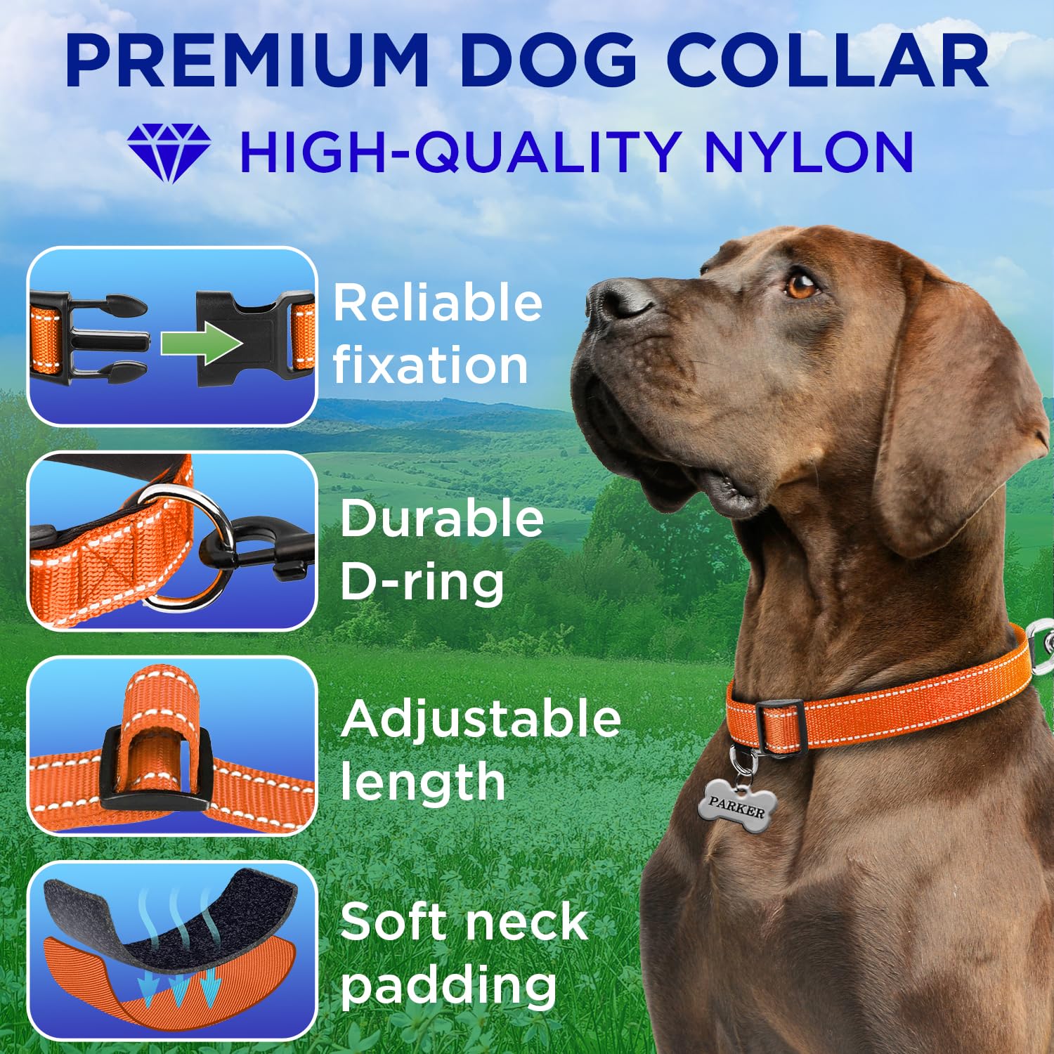 Teceum Reflective Pet Collar - Orange - Xl - Extra Soft Padding - Basic Nylon Dog Collar - Quick Release Buckle - Fits Small, Me