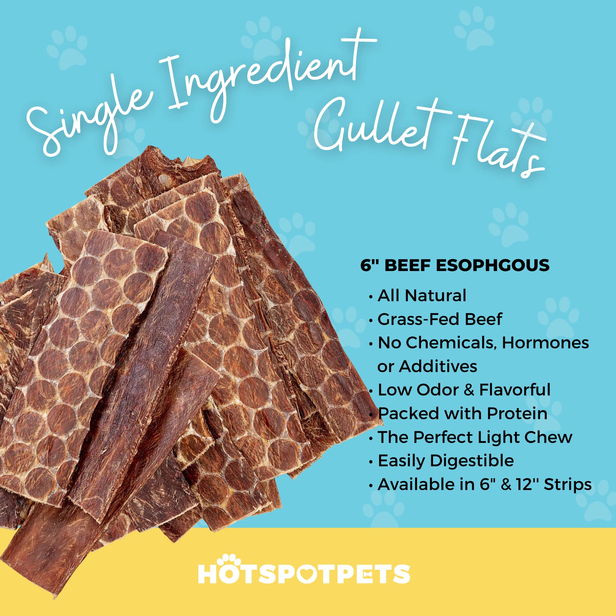 hotspot pets Beef Esophagus Dog Treats (6 INCHES) (1LB Bag) Grass Fed with No Added Hormone All Natural Jerky Dog Treats - Chews