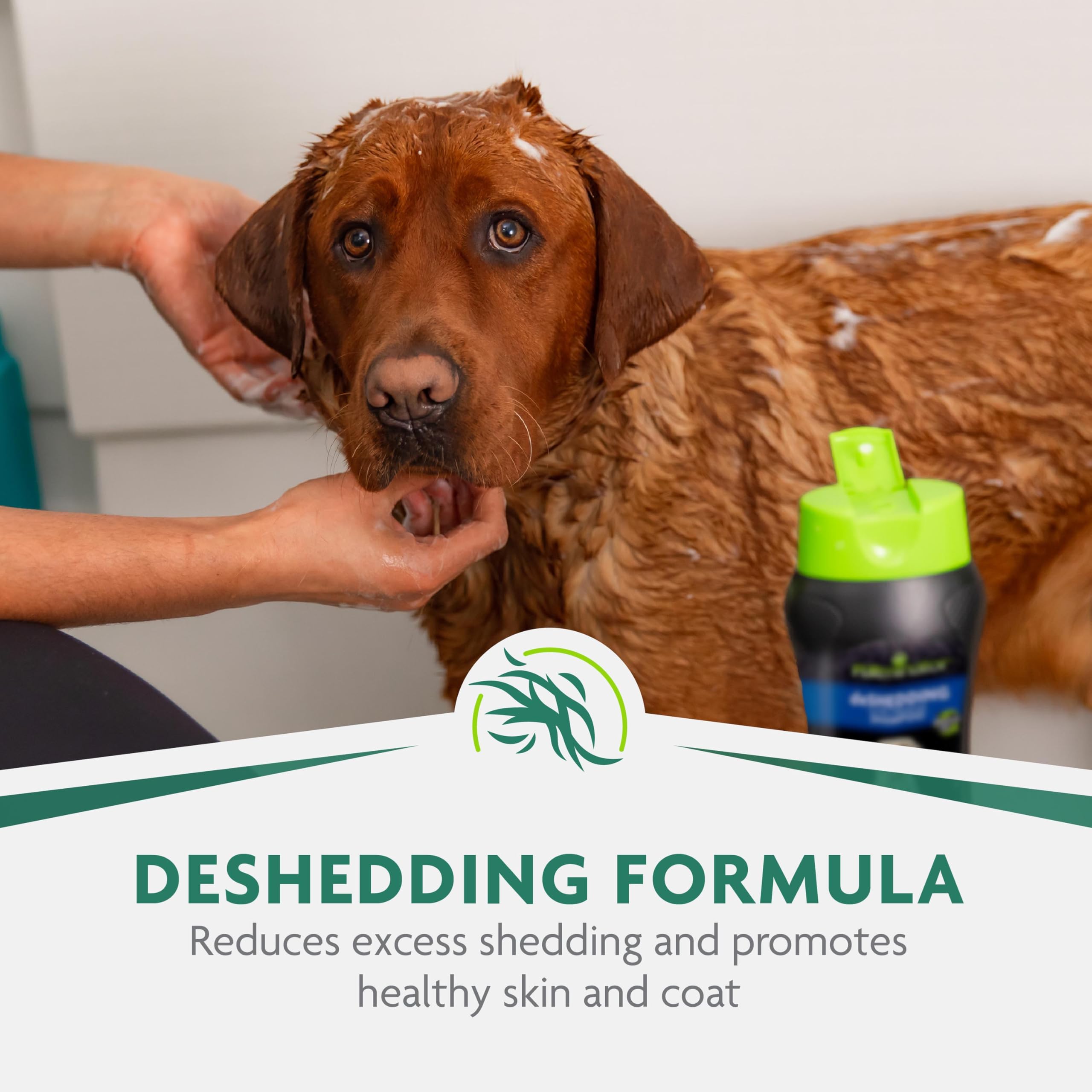 Furminator Ultra Premium Deshedding Shampoo For Dogs Helps Reduce Excess Shedding, 16 Oz