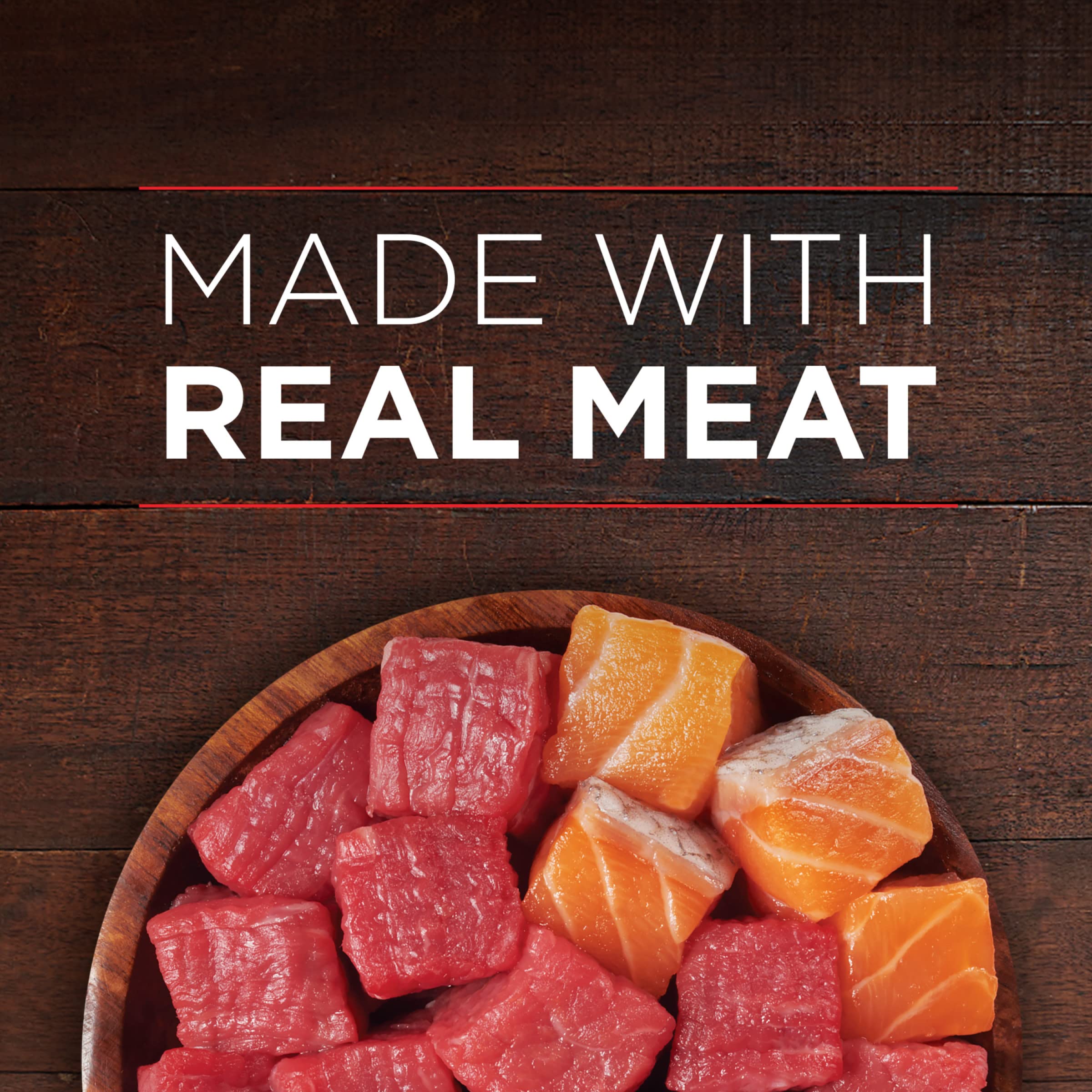 Purina ONE High Protein Wet Dog Food True Instinct Tender Cuts in Dog Food Gravy With Real Beef and Wild-Caught Salmon - (Pack o