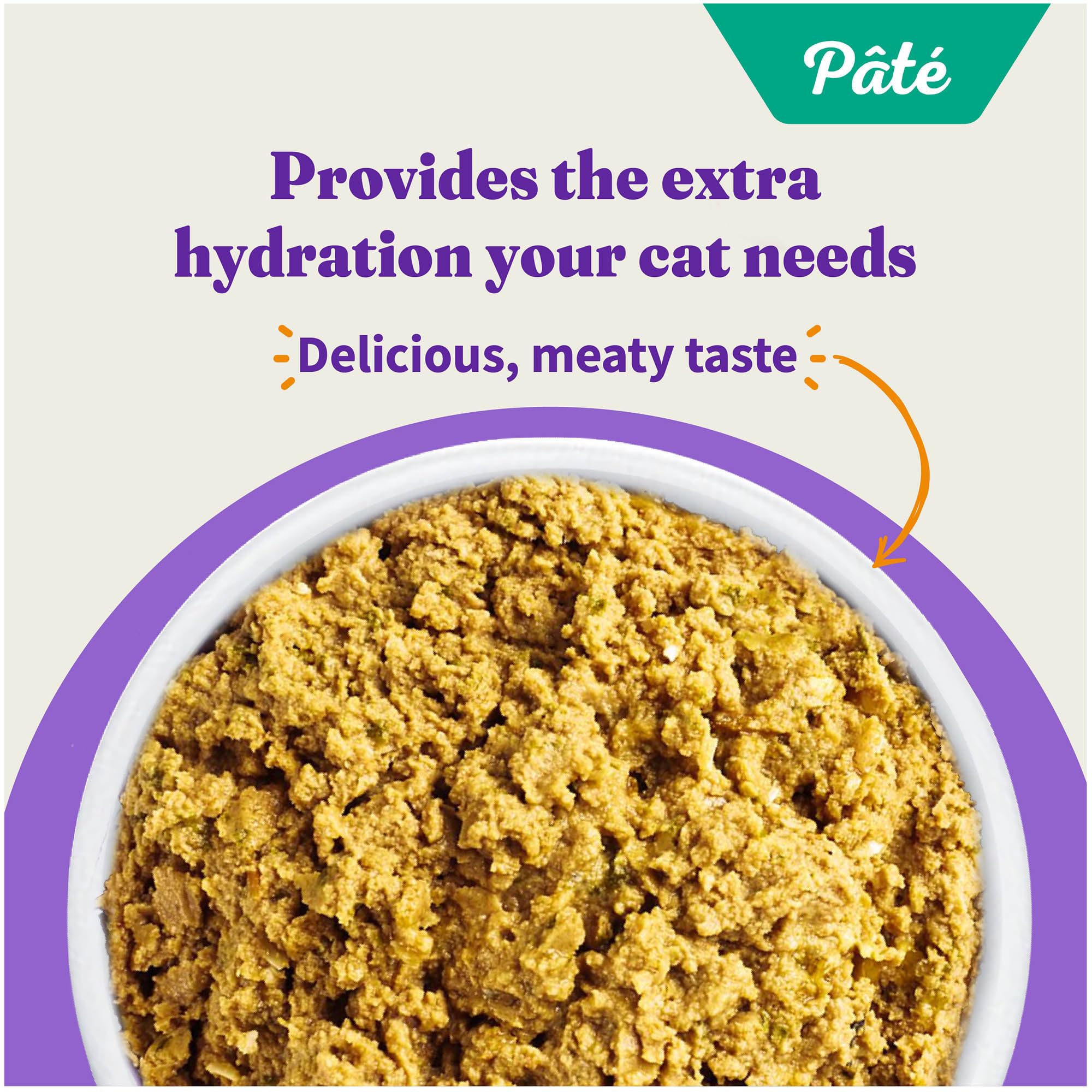 Halo Purely For Pets Halo Indoor Wet Cat Food, Grain Free, Salmon Pate, 5.5 Ounce (Pack of 12)