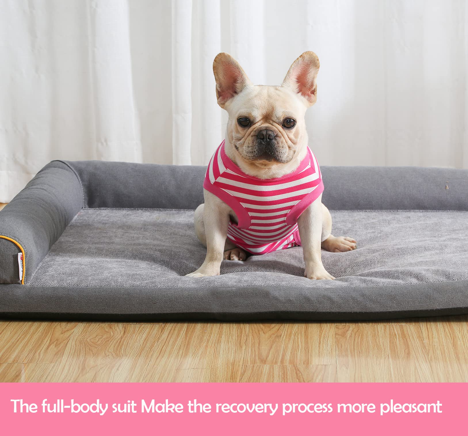 Sychien Dog Recovery Suit Post Surgery Shirt,Medium Female Spay Wound Protective Suit,Pink M