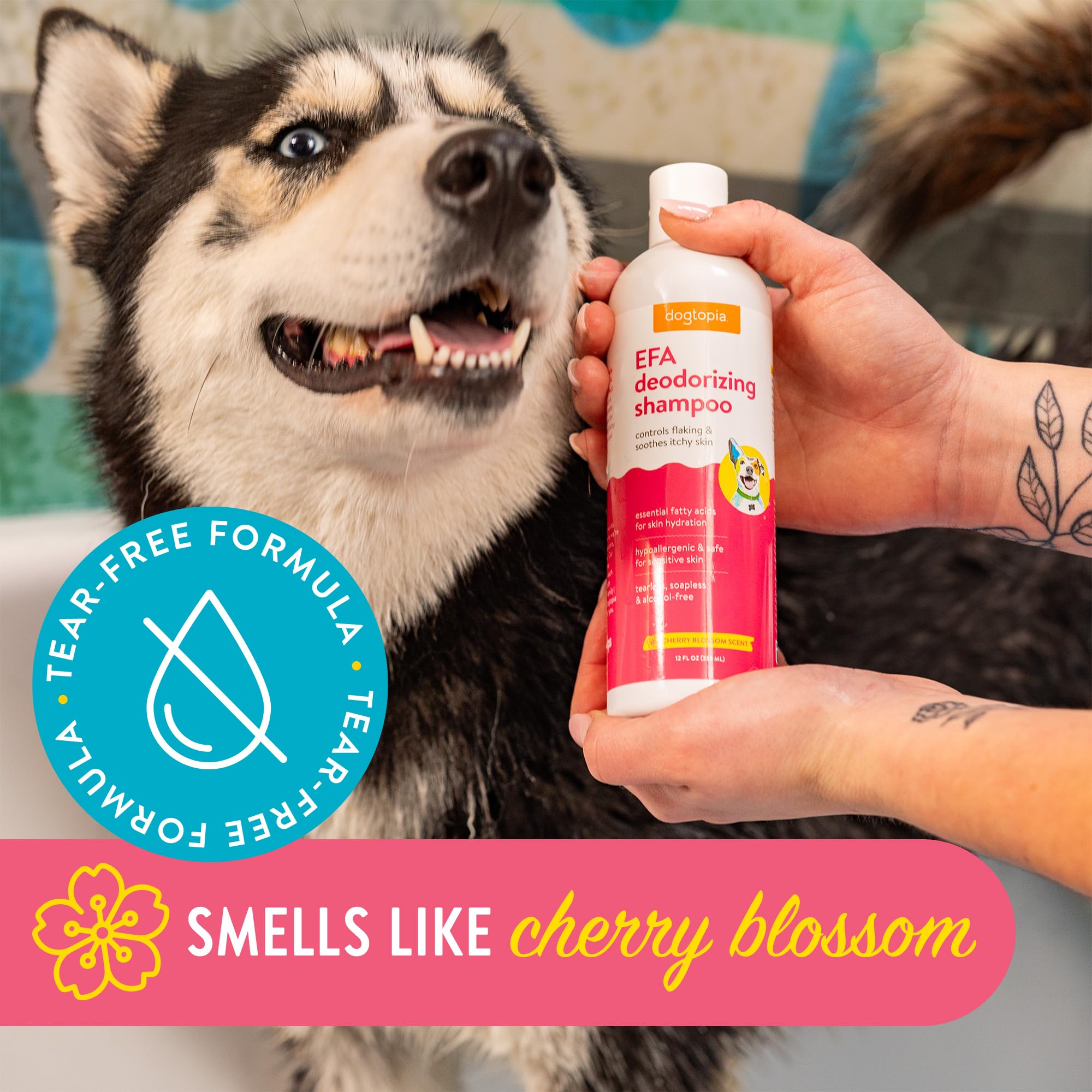 Essential Fatty Acid (Efa) Deodorizing Shampoo For Dogs And Pets (12Oz) - Cherry Blossom Scent | Soothing Shampoo Rich With Mois
