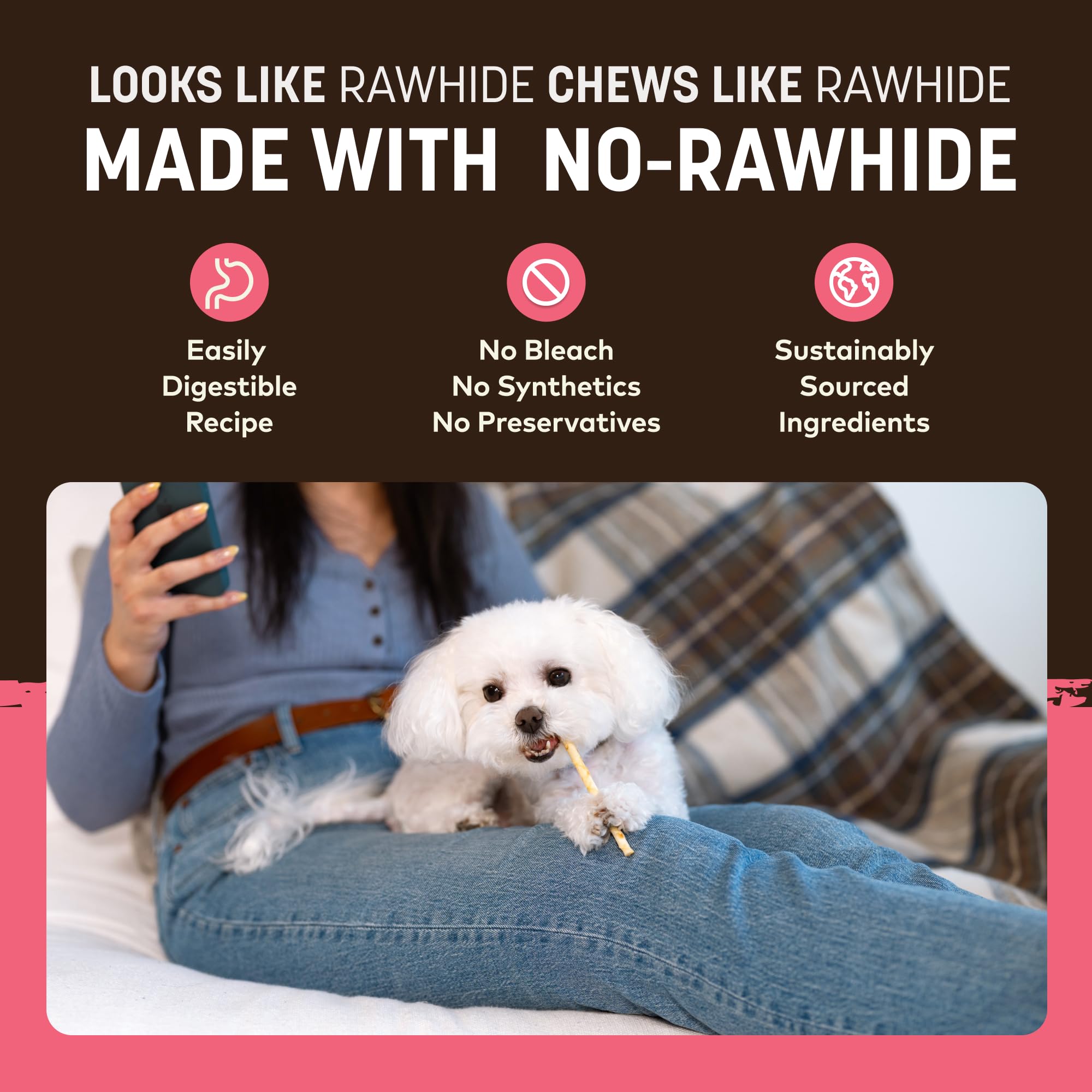 Earth Animal No Hide Stix - Long Lasting Rawhide Free Small Dog Chews Sticks, Salmon - 40 Count Extra Value Pack