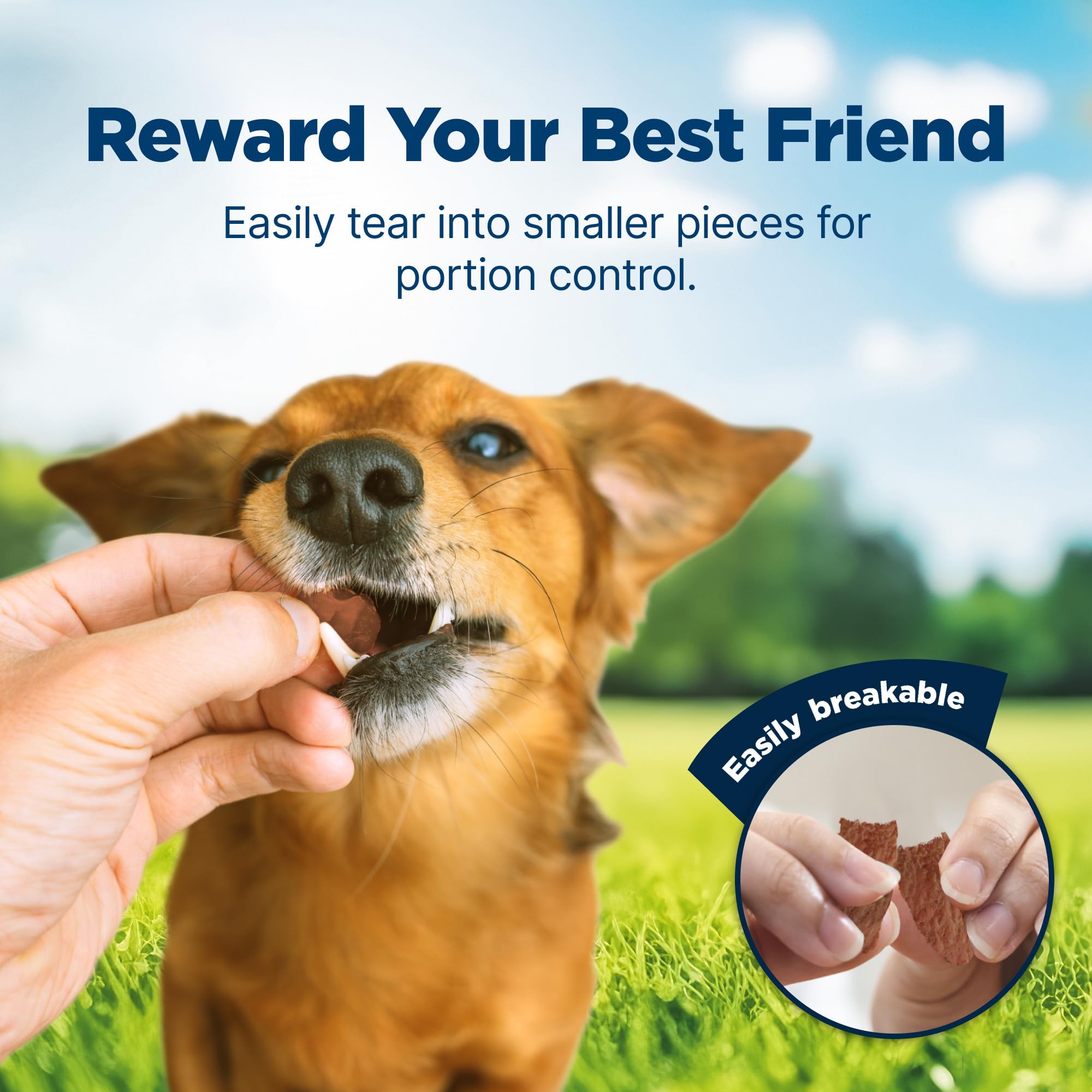 Blue Buffalo Nudges Jerky Cuts Dog Treats, Made in the USA with Natural Ingredients, Chicken & Duck, 16-oz Bag