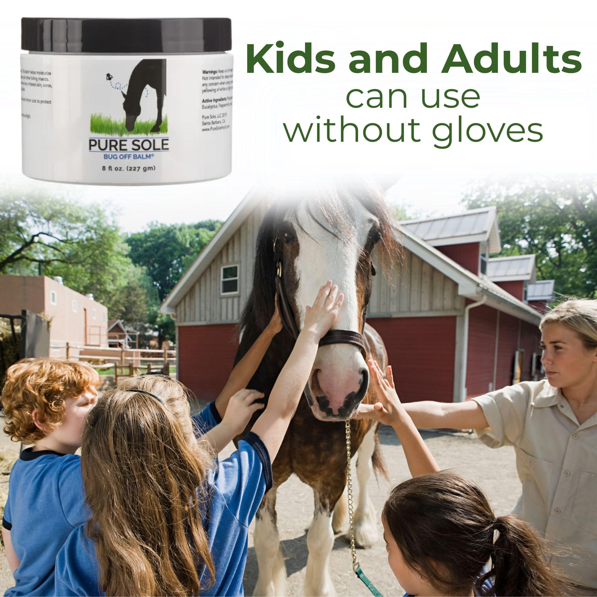 Pure Sole Bug Off Balm - All Natural Ointment for Horses, Ponies and Donkeys, Use for Cows, Goats and Other Farm Animals | Prote