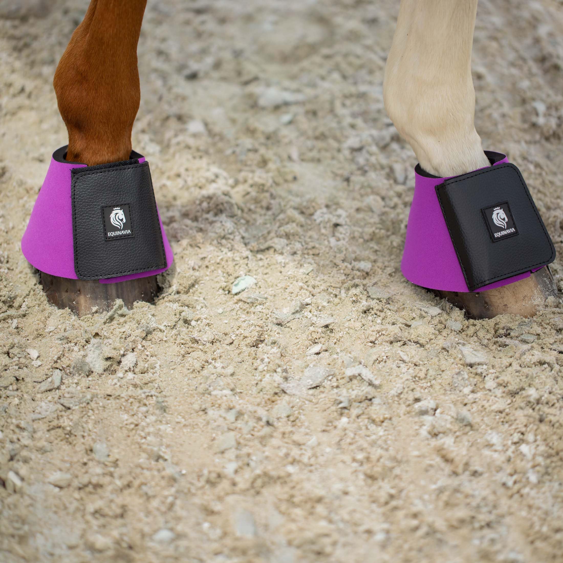 Equinavia Toki Bell Boots For Horses | Neoprene Overreach Boots - Bright Purple - M